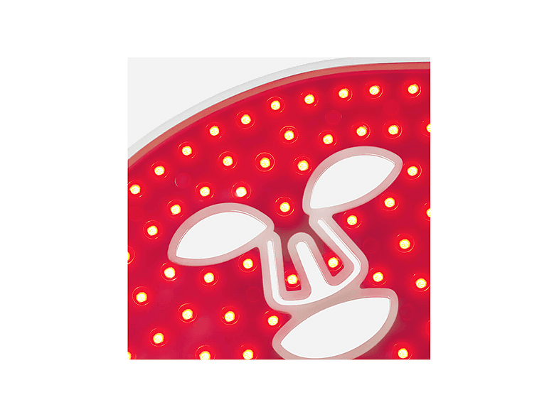 Vista 3