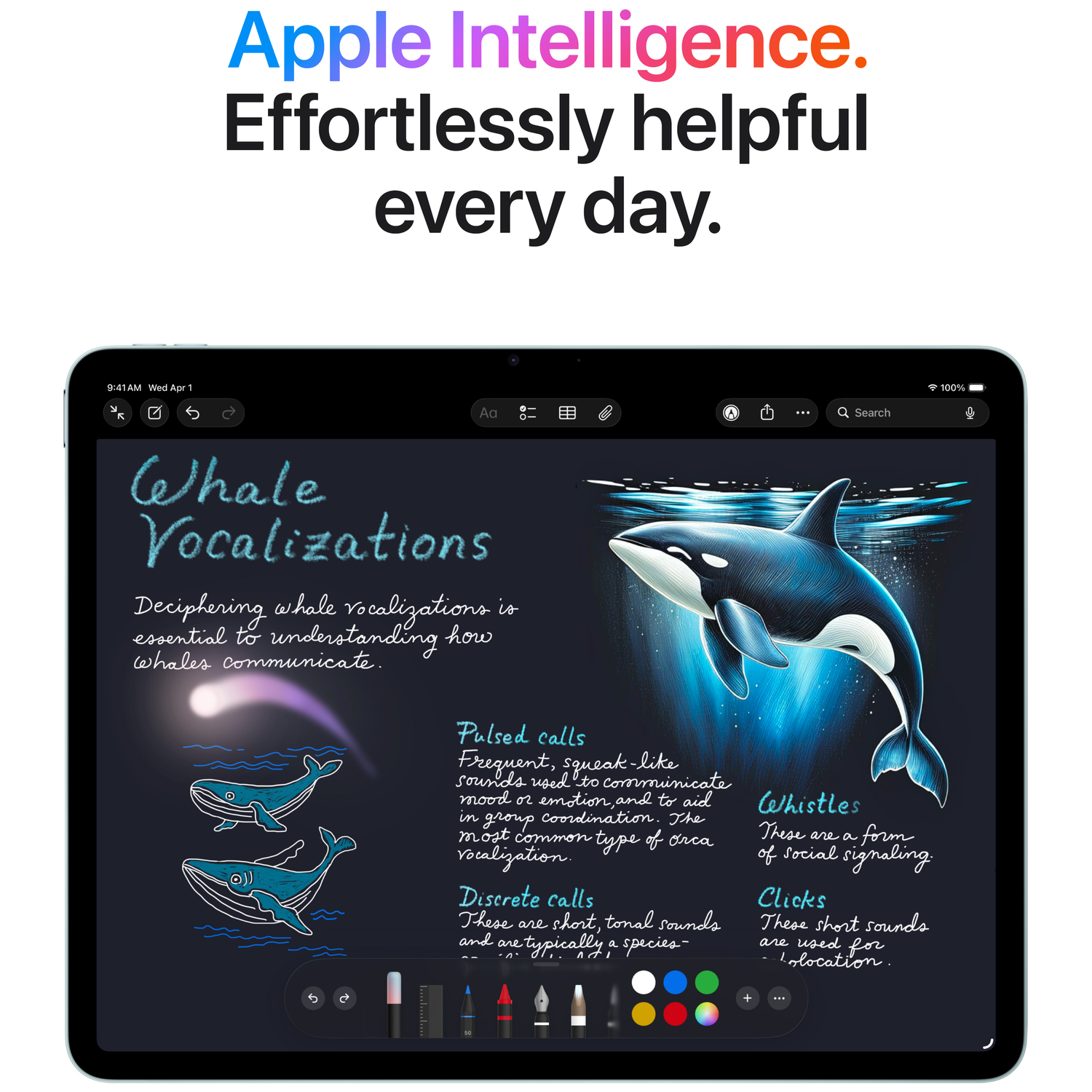 Un iPad affiche une note sur les vocalisations des baleines avec des dessins de baleines et d'orque.