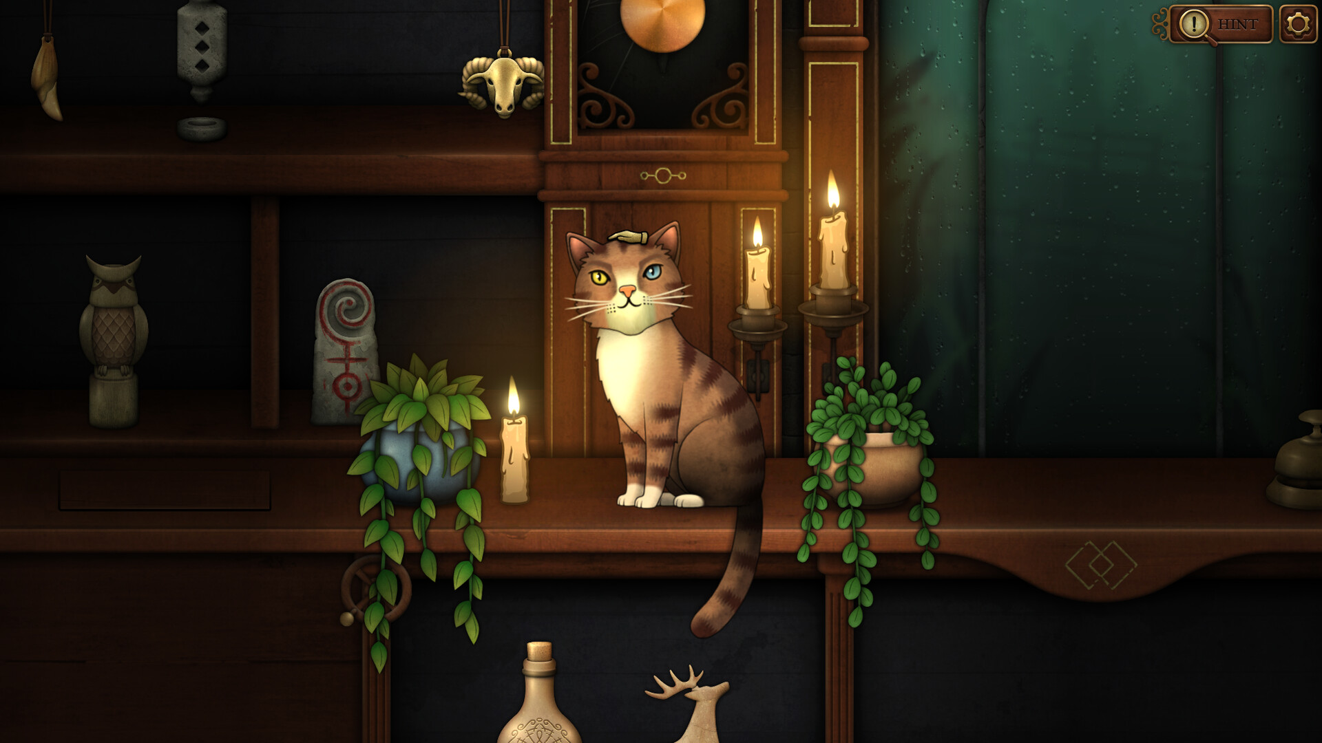 Un gato se sienta en una repisa con velas y plantas. Tiene ojos de diferente color.