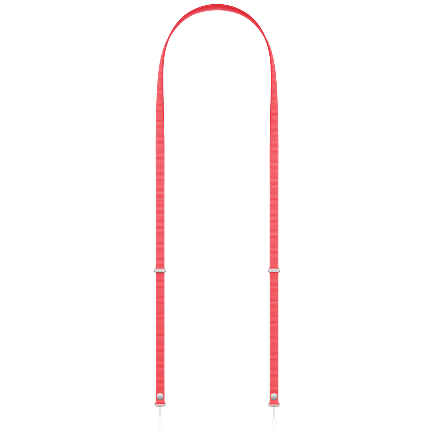Een rode band met zilveren gespen en haken, gebogen.