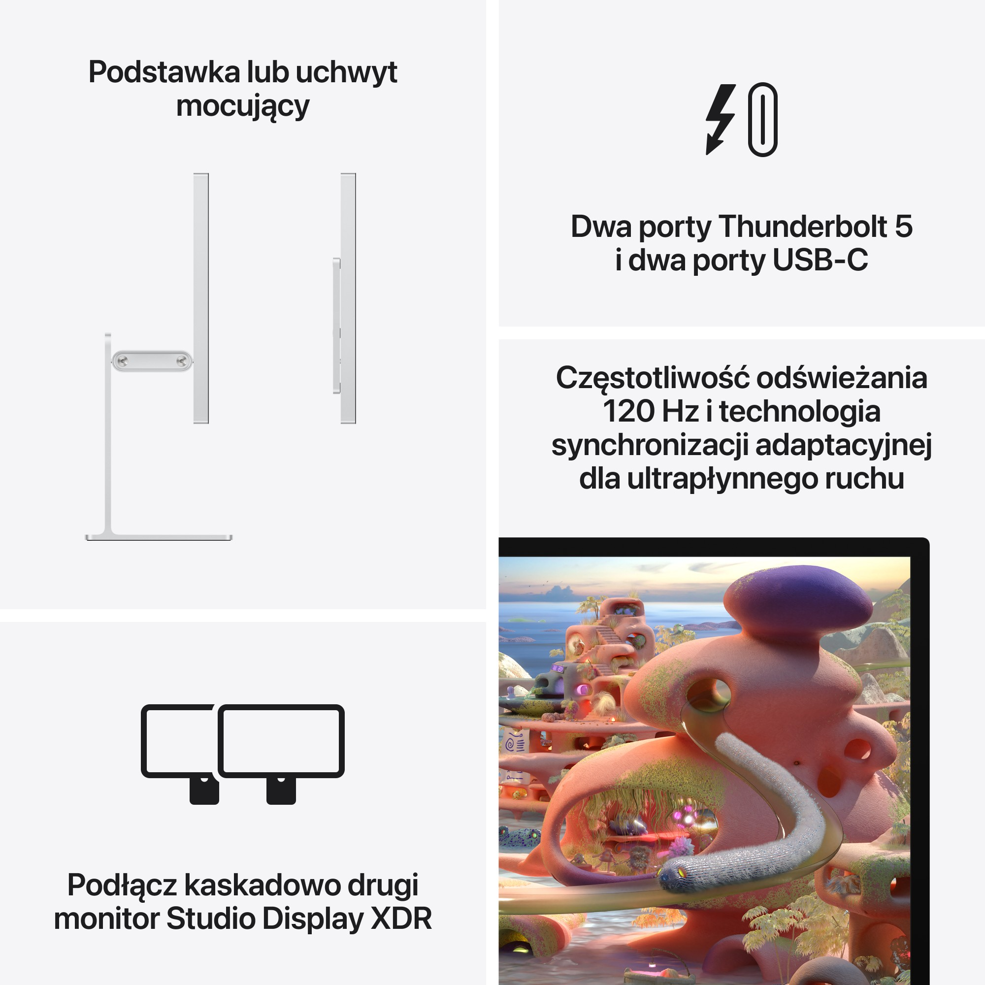 Obrazek pokazuje podstawkę monitora, porty Thunderbolt 5 i USB-C, 120Hz i adaptacyjną synchronizację, dwa monitory.