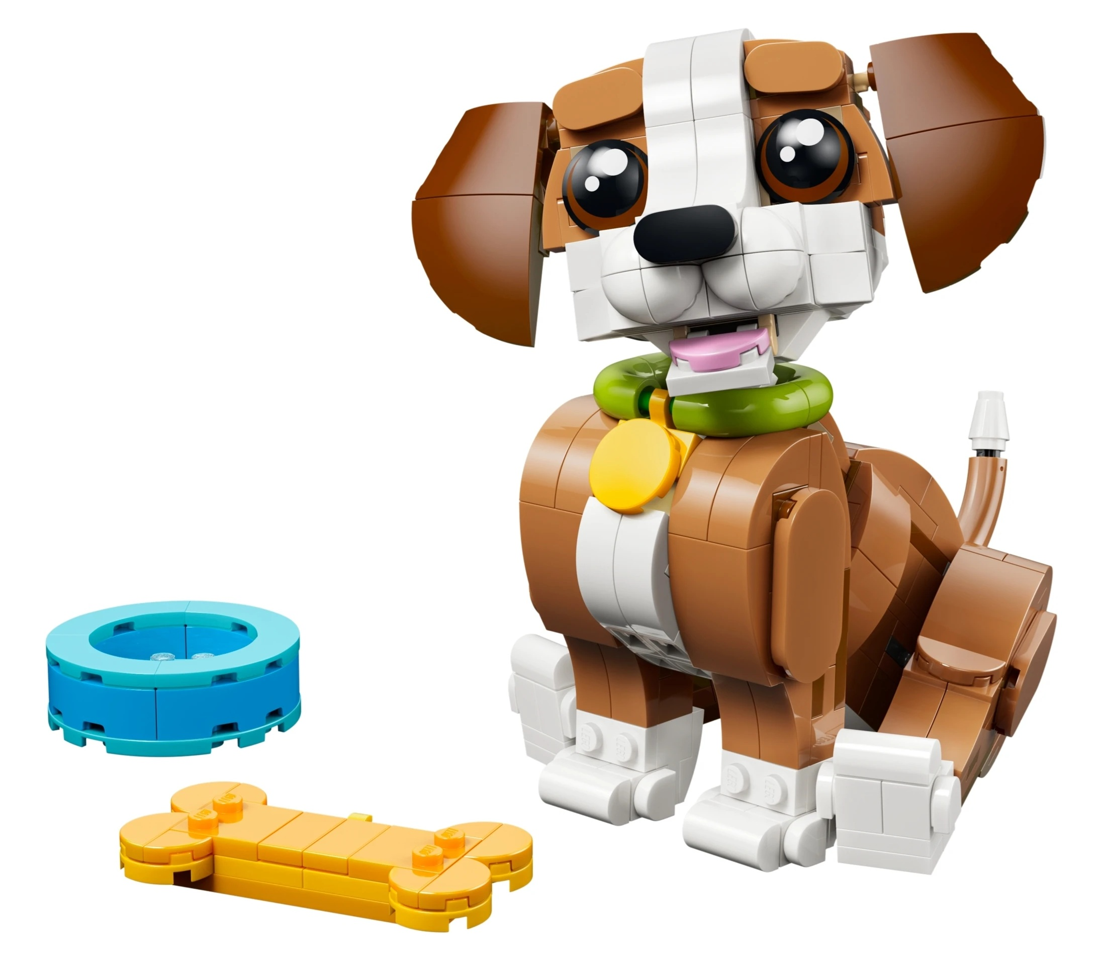 Brązowo-biały pies Lego siedzi obok kości i miski.