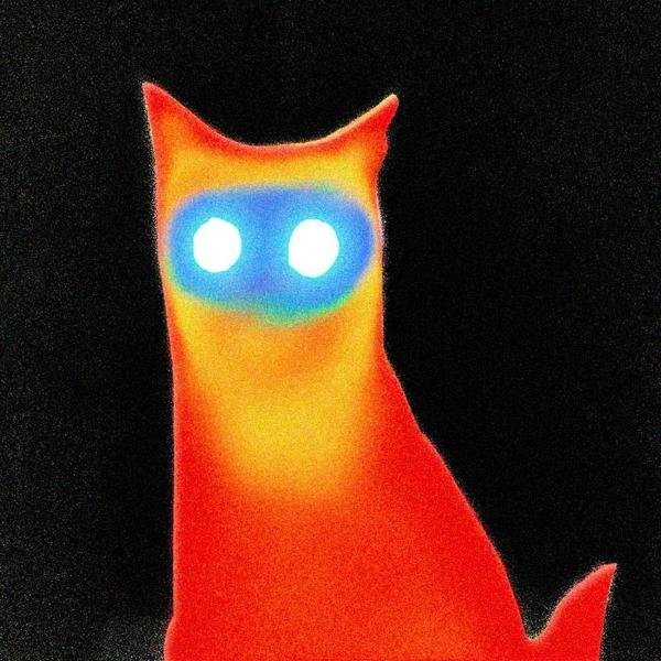 Orangefarbene Katze mit leuchtend blauen Augen auf schwarzem Hintergrund.