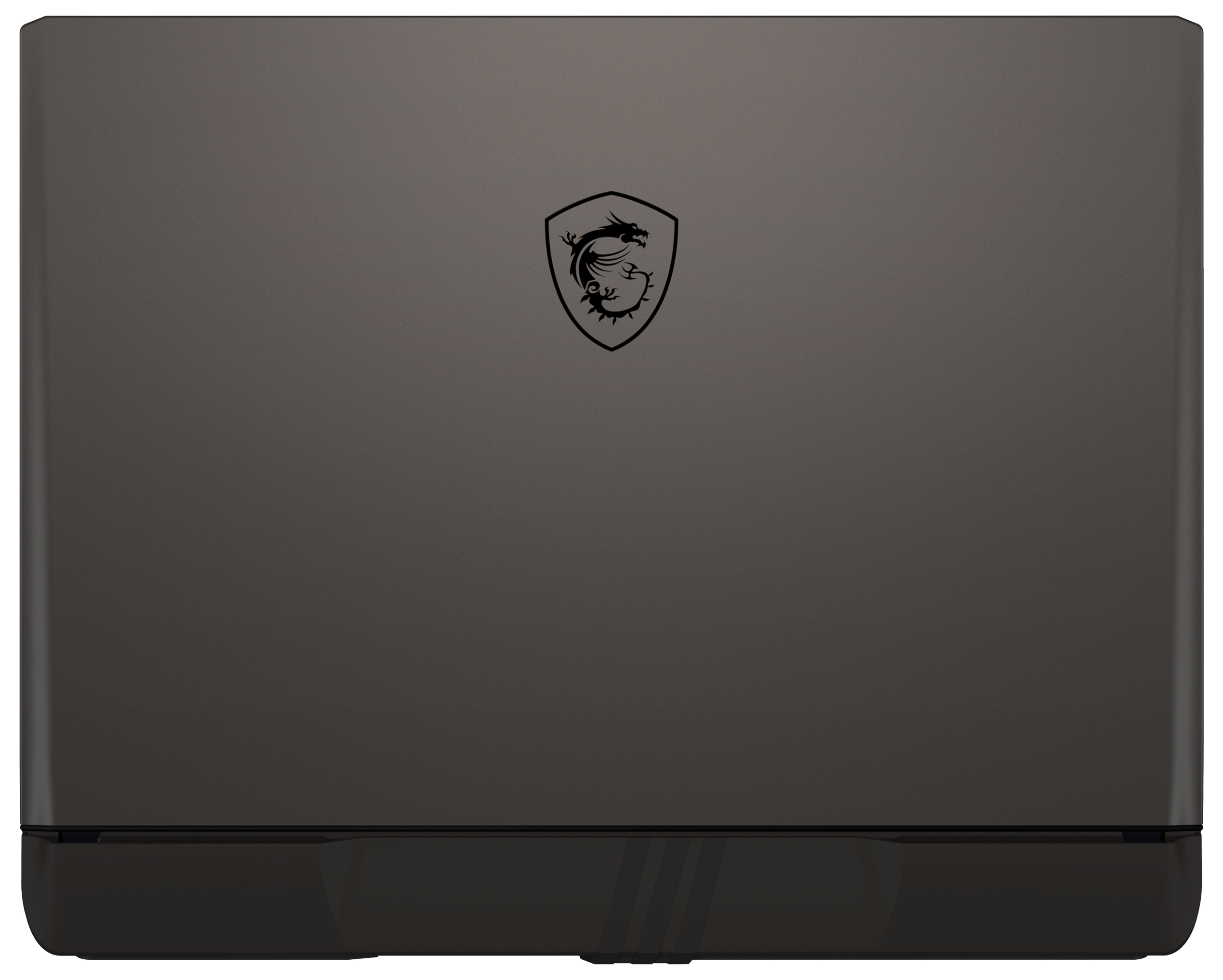 Dunkelgrauer Laptop mit schwarzem Drachenemblem oben.