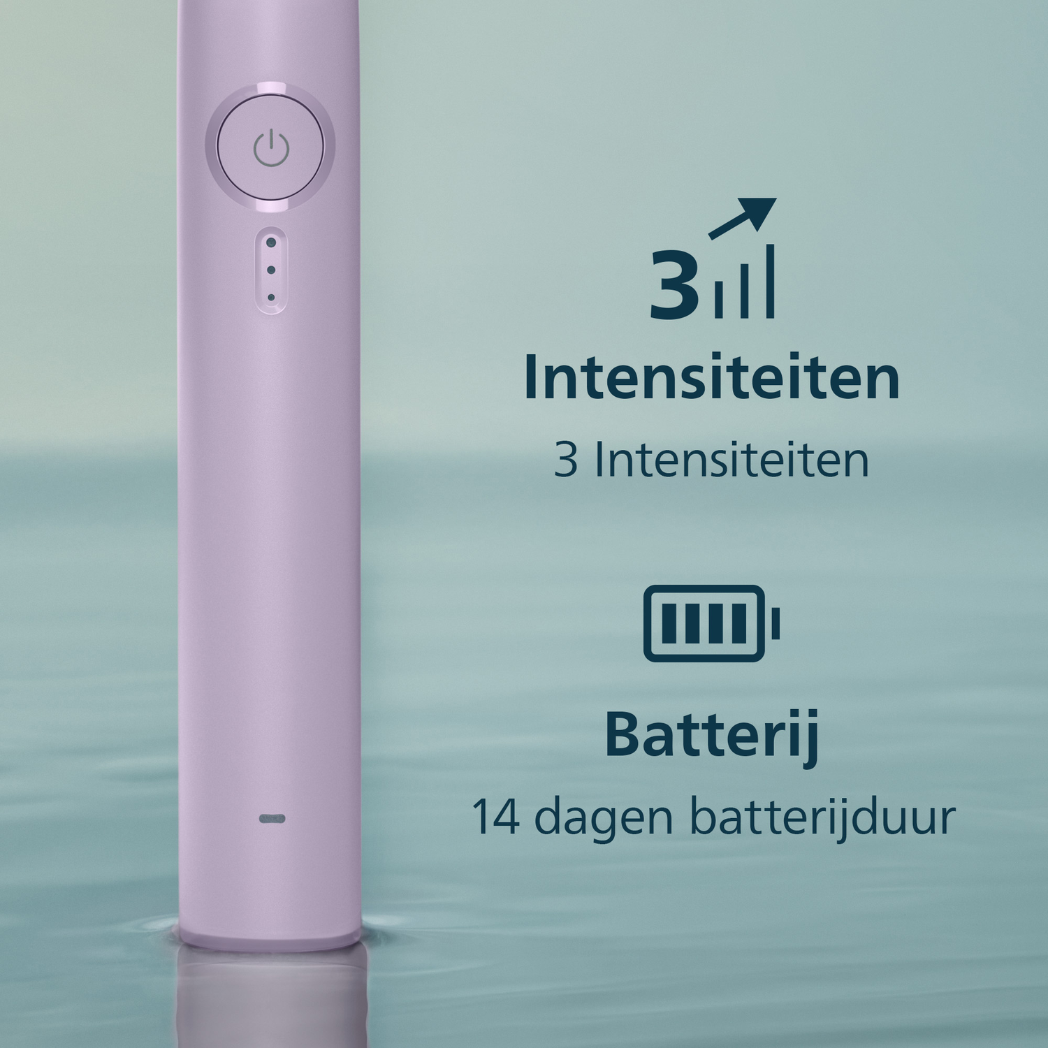 Paarse tandenborstel met 3 intensiteiten en 14 dagen batterij.