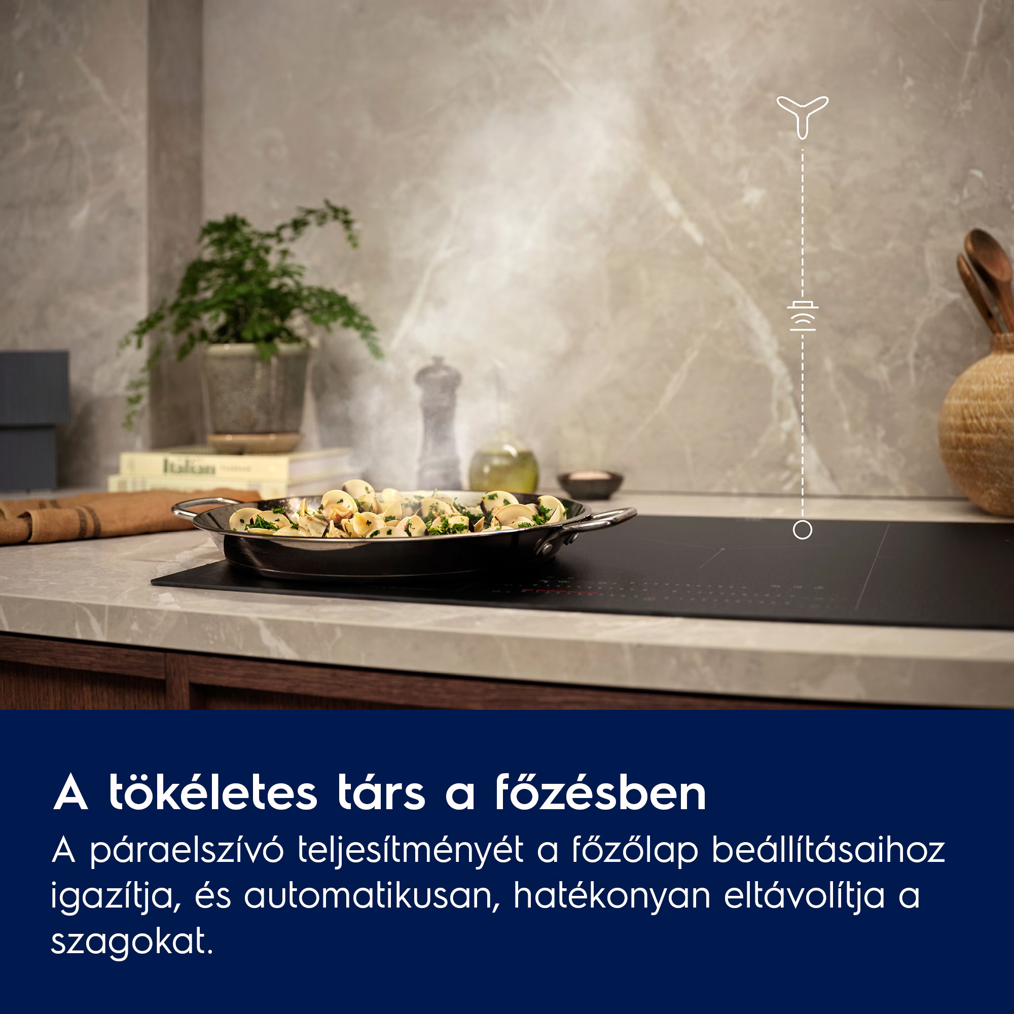 Főzőlap serpenyőnyi kagylóval és fűszernövényekkel, felszálló gőz.