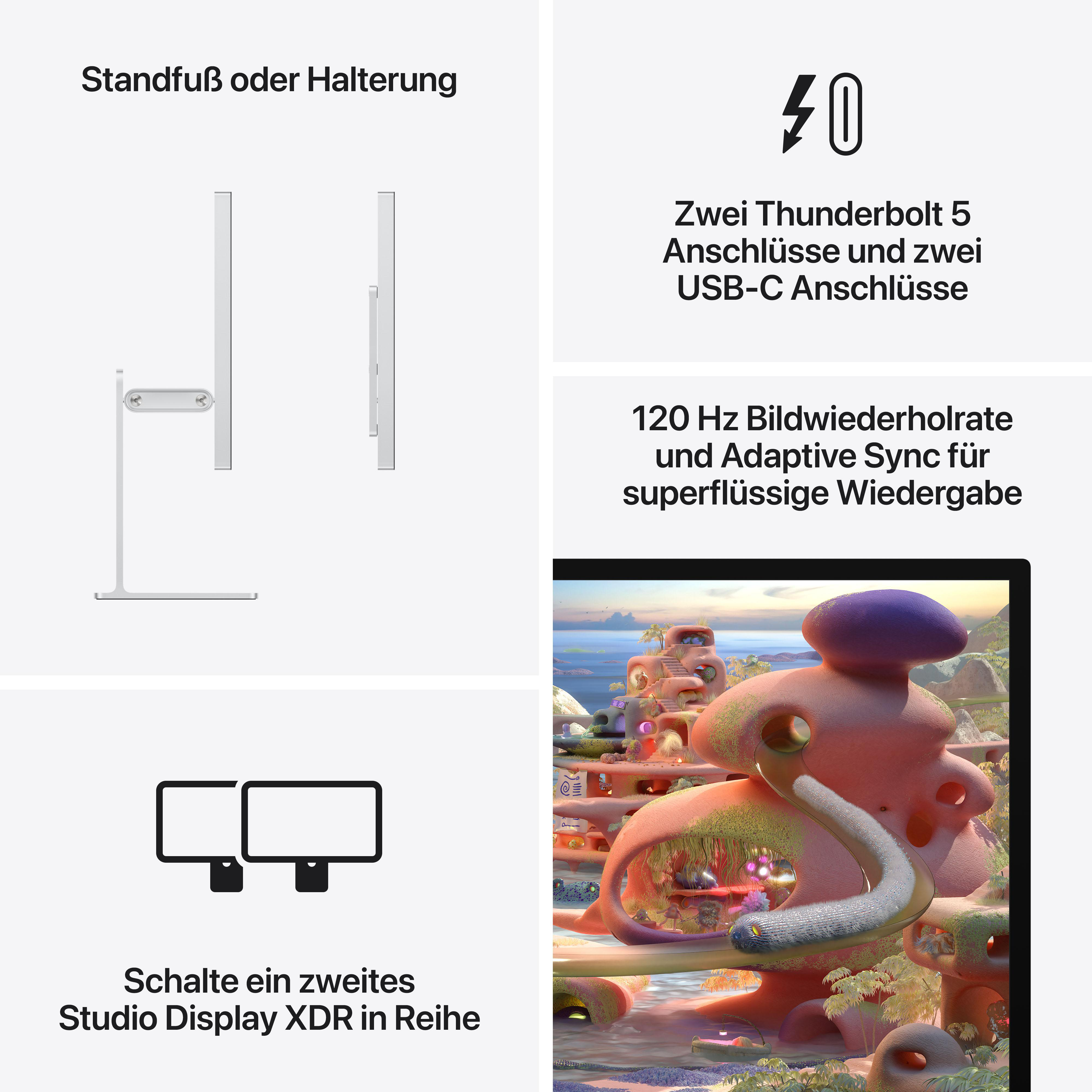 Ein Monitor mit Standfuß, Thunderbolt 5 & USB-C Anschlüssen.