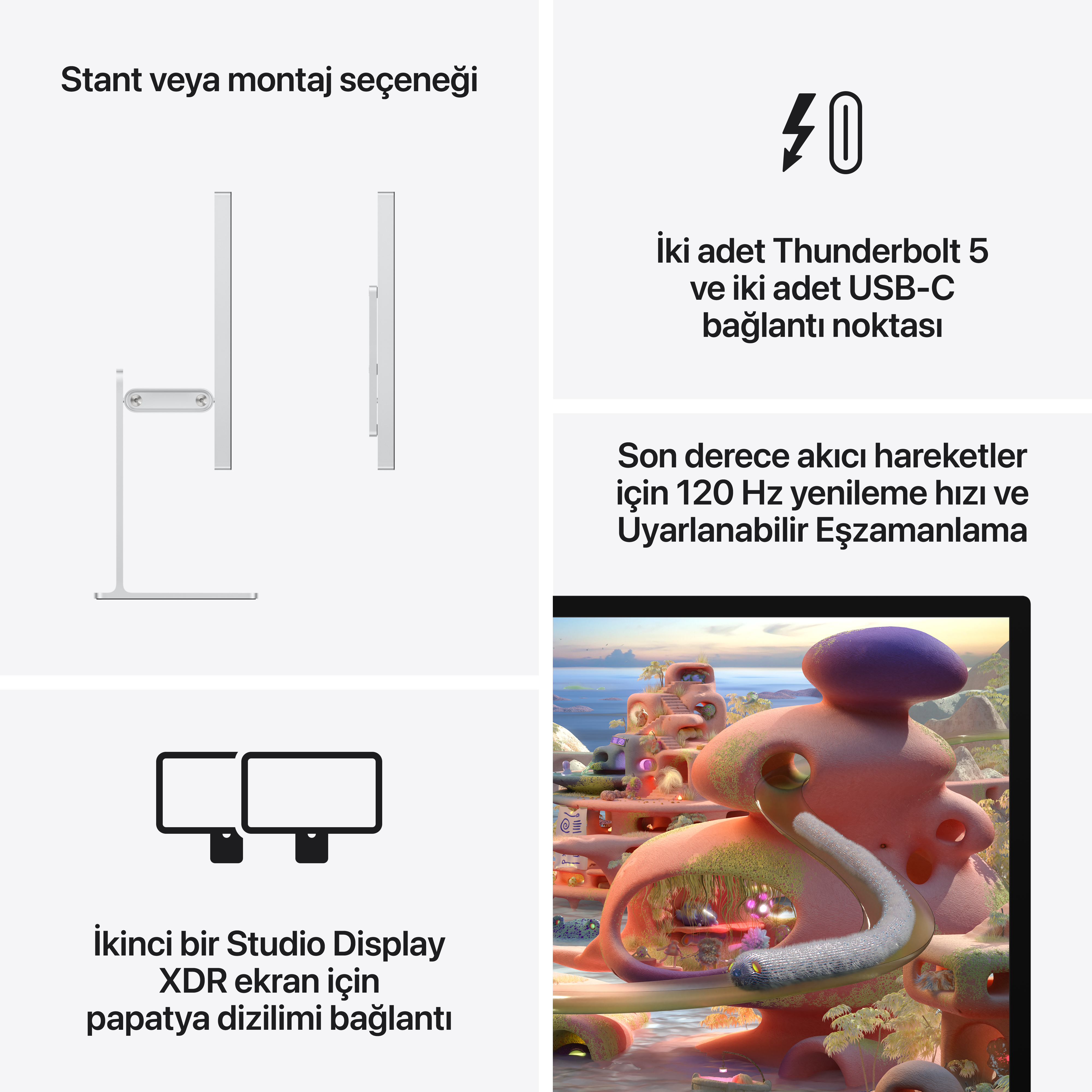 Standlı veya montajlı monitör, 2x Thunderbolt 5, 2x USB-C.