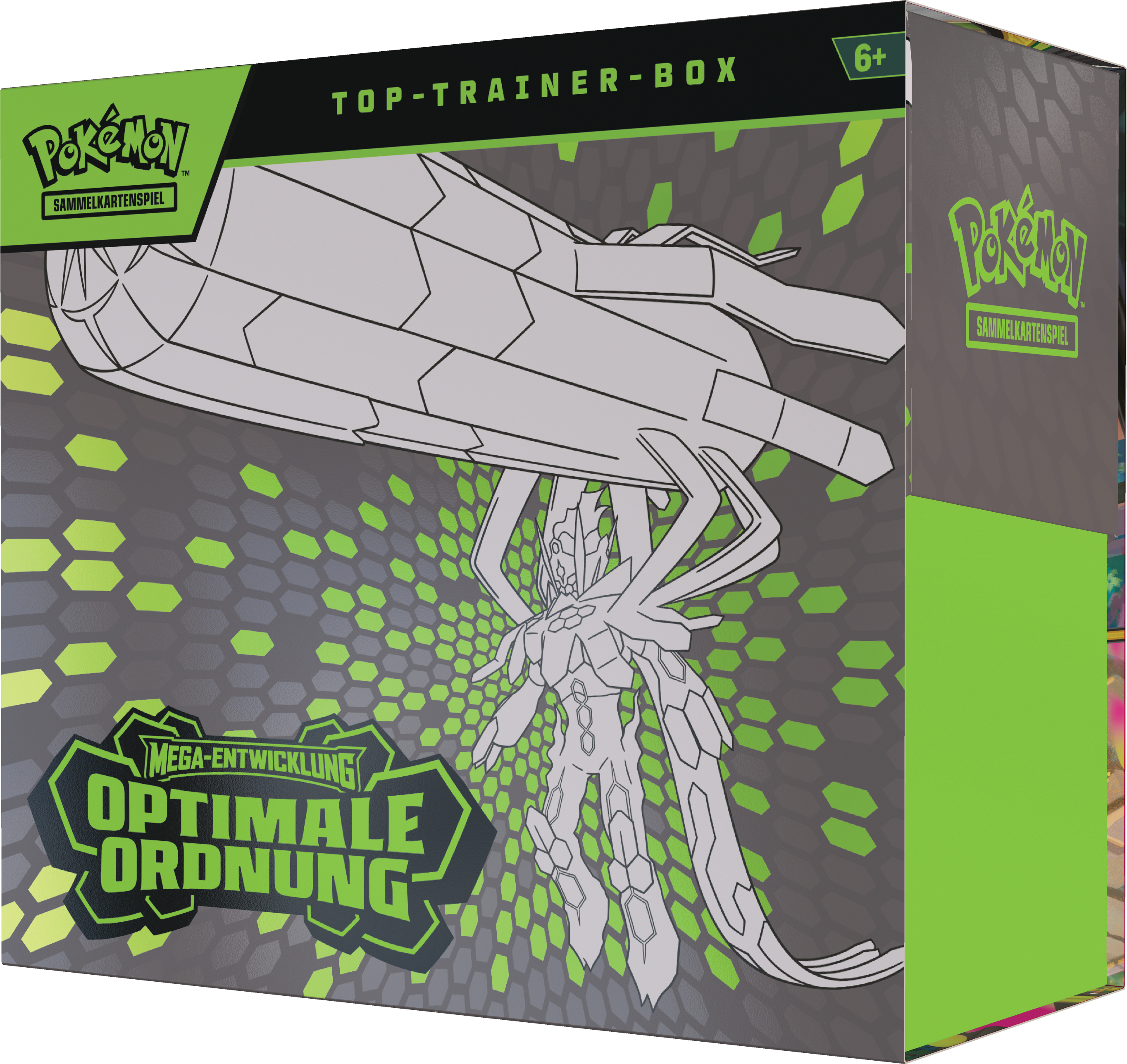 Pokemon Top-Trainer-Box mit Mega-Entwicklung und optimaler Ordnung.