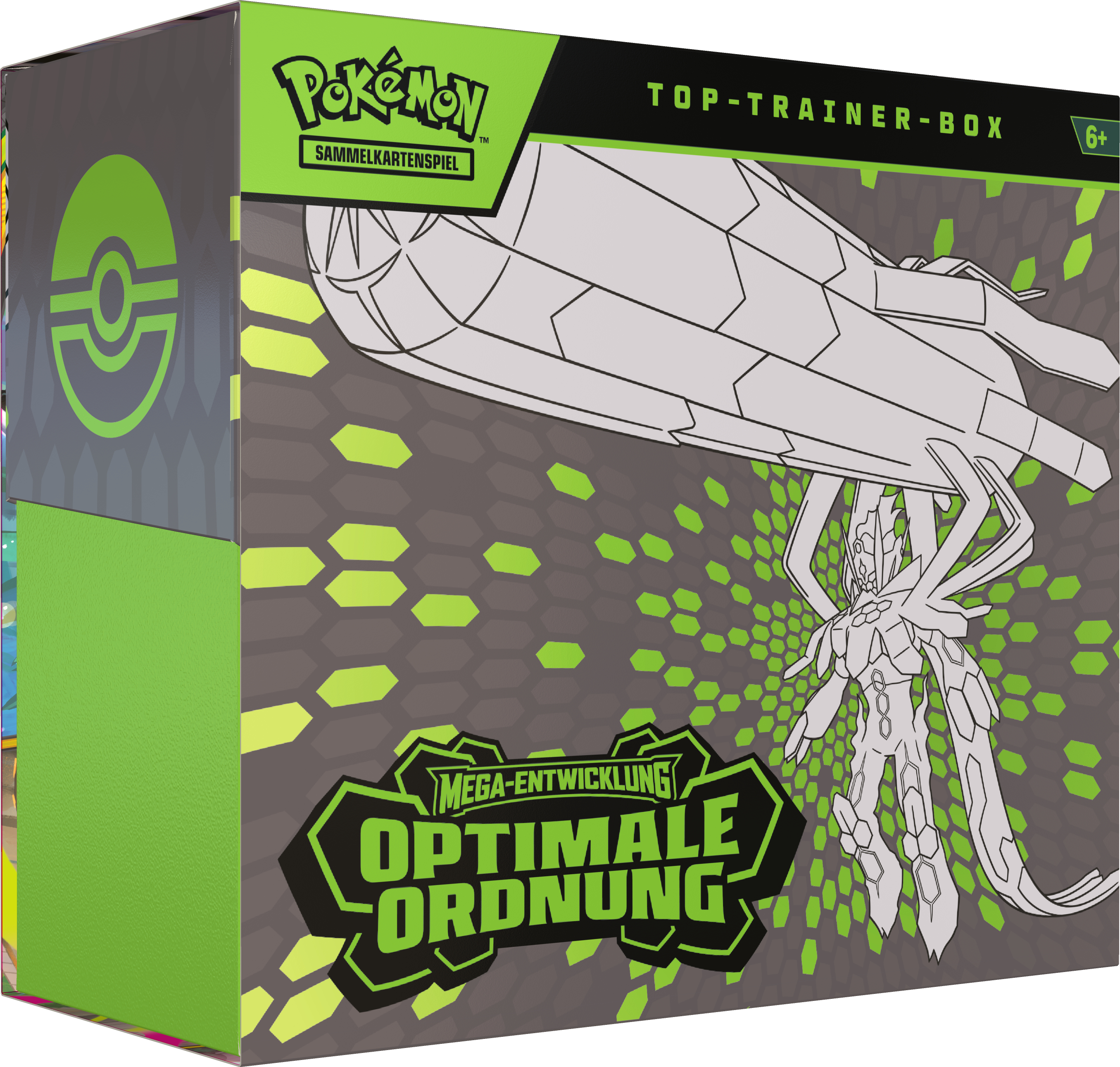 Pokémon Top-Trainer-Box mit Mega-Entwicklung. Grauer Karton mit grünen Akzenten.