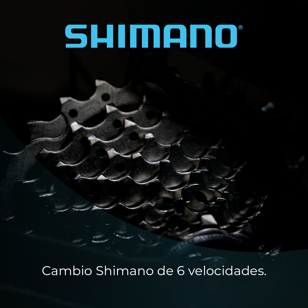 Cassette Shimano de 6 velocidades, metálico, fondo oscuro.