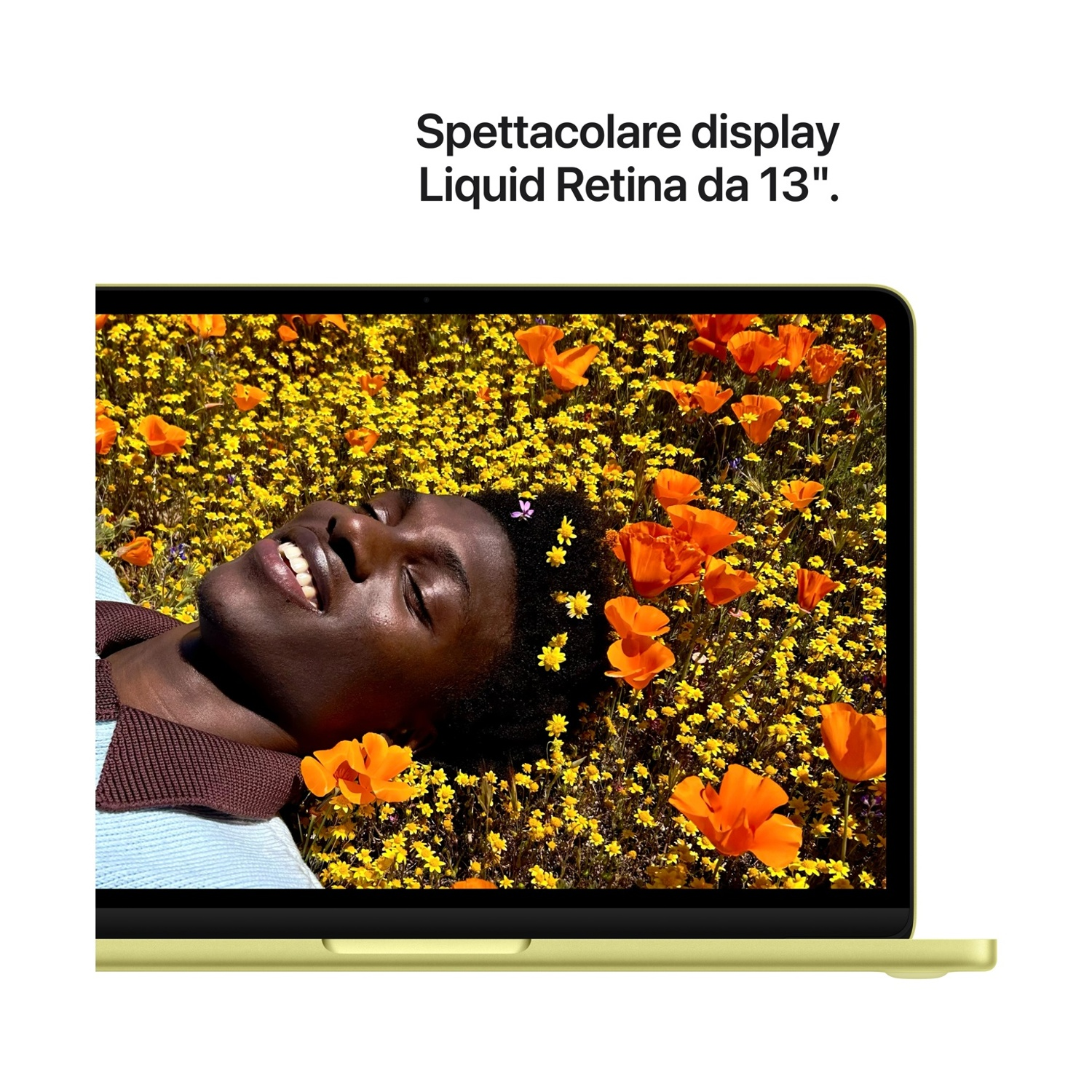 Uomo sdraiato tra fiori, laptop con display luminoso.