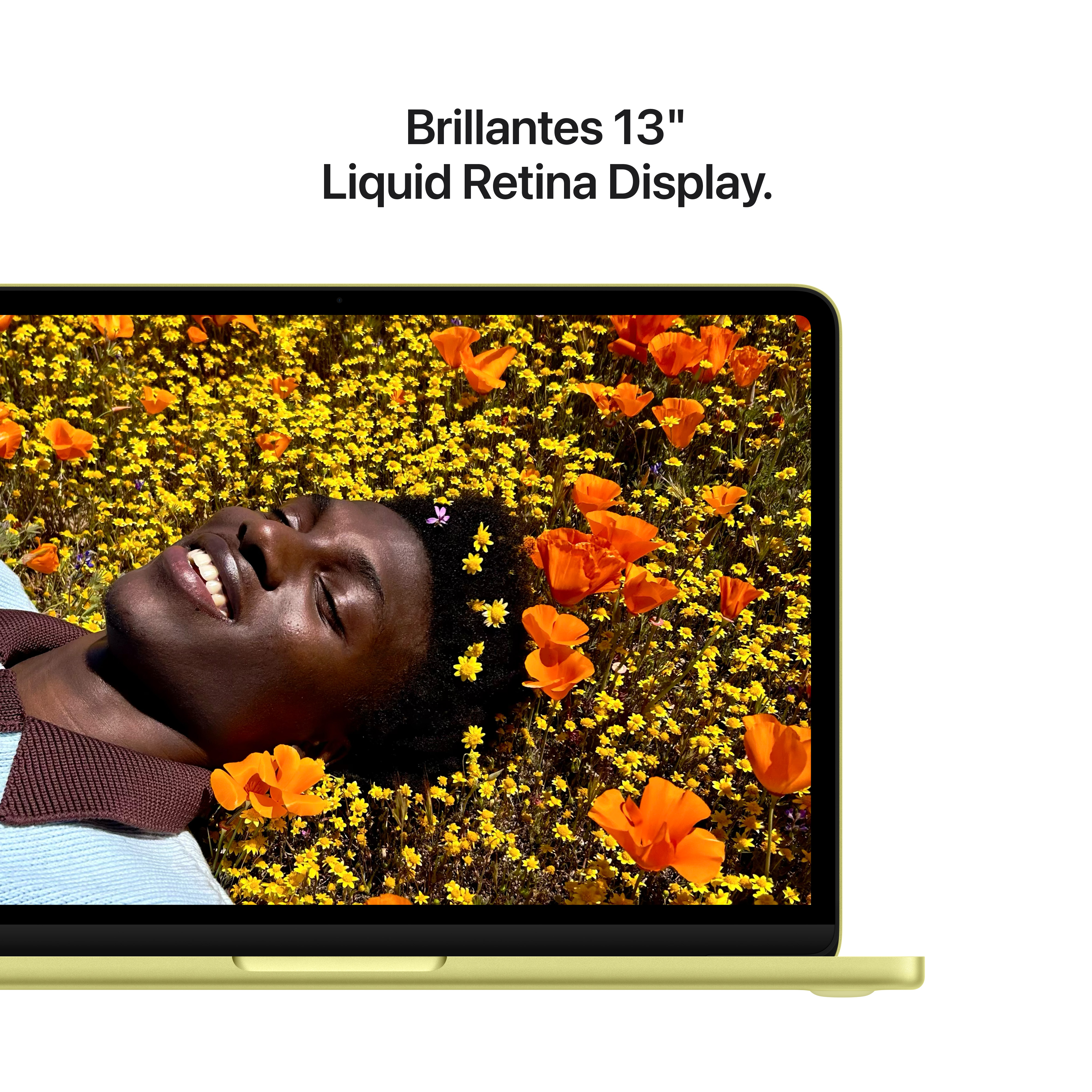 Eine Person liegt in einem Feld mit gelben und orangen Blumen, ein Laptop ist daneben.