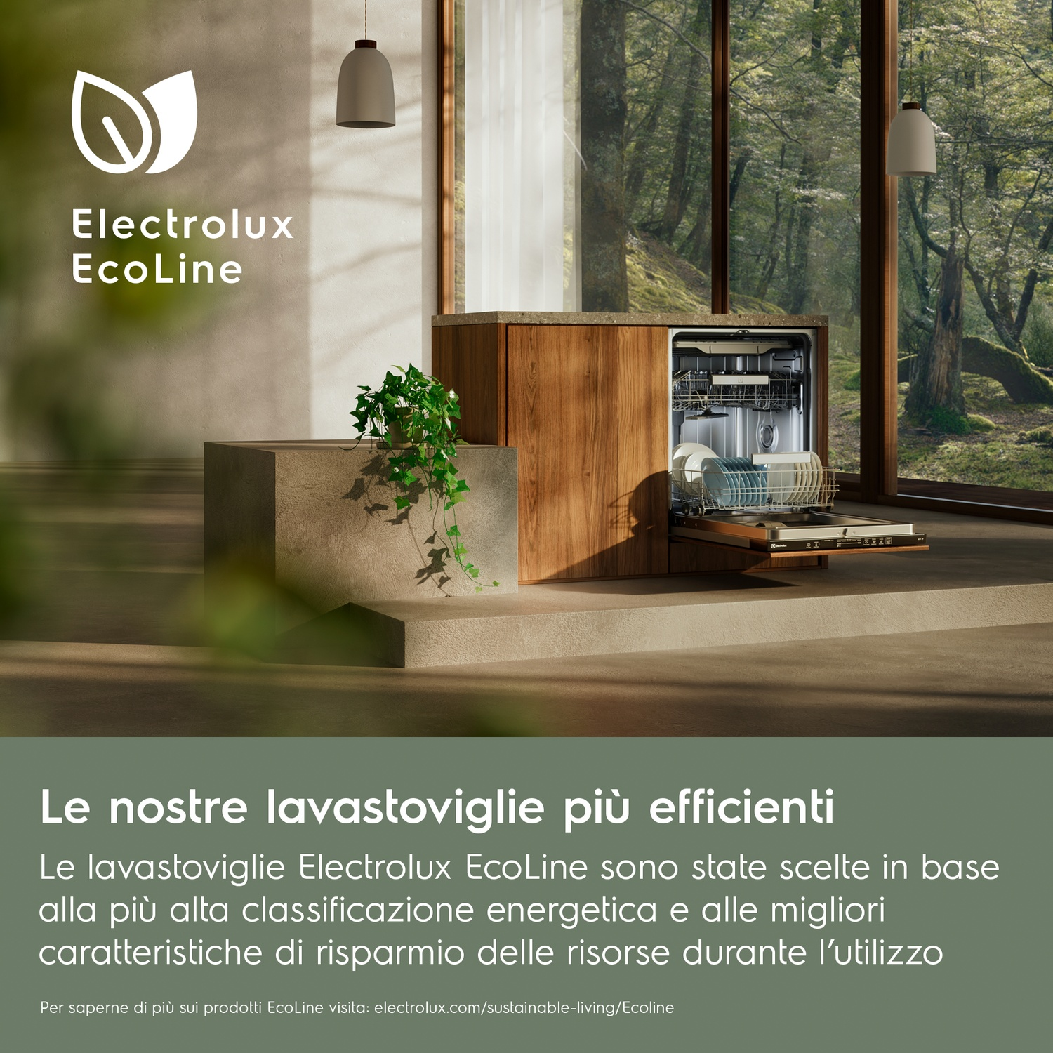 Uno spazio cucina moderno con lavastoviglie aperta davanti a un bosco.