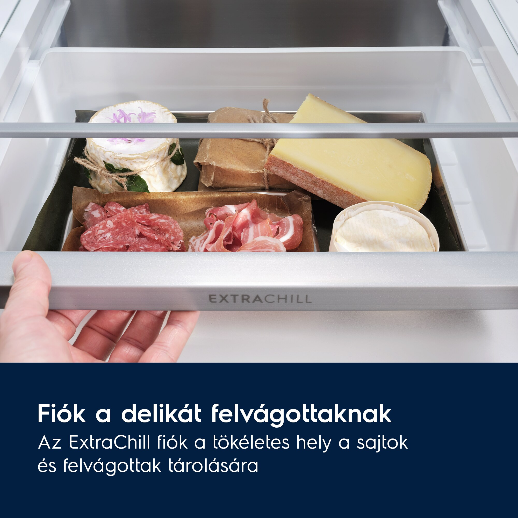 Hűtő fiók sajttal, szalámival és sonkával.