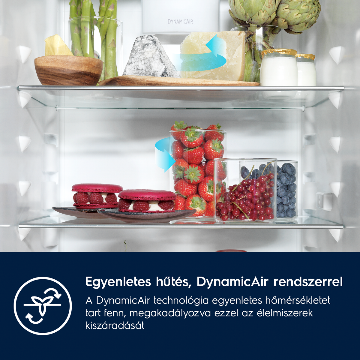 Hűtőpolcok gyümölcsökkel, sajttal és joghurttal. Kék nyilak jelzik a légkeringést.