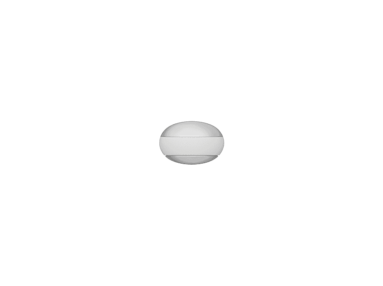 PLAUD NotePin S KI-Diktiergerät/Voice Recorder, Silber