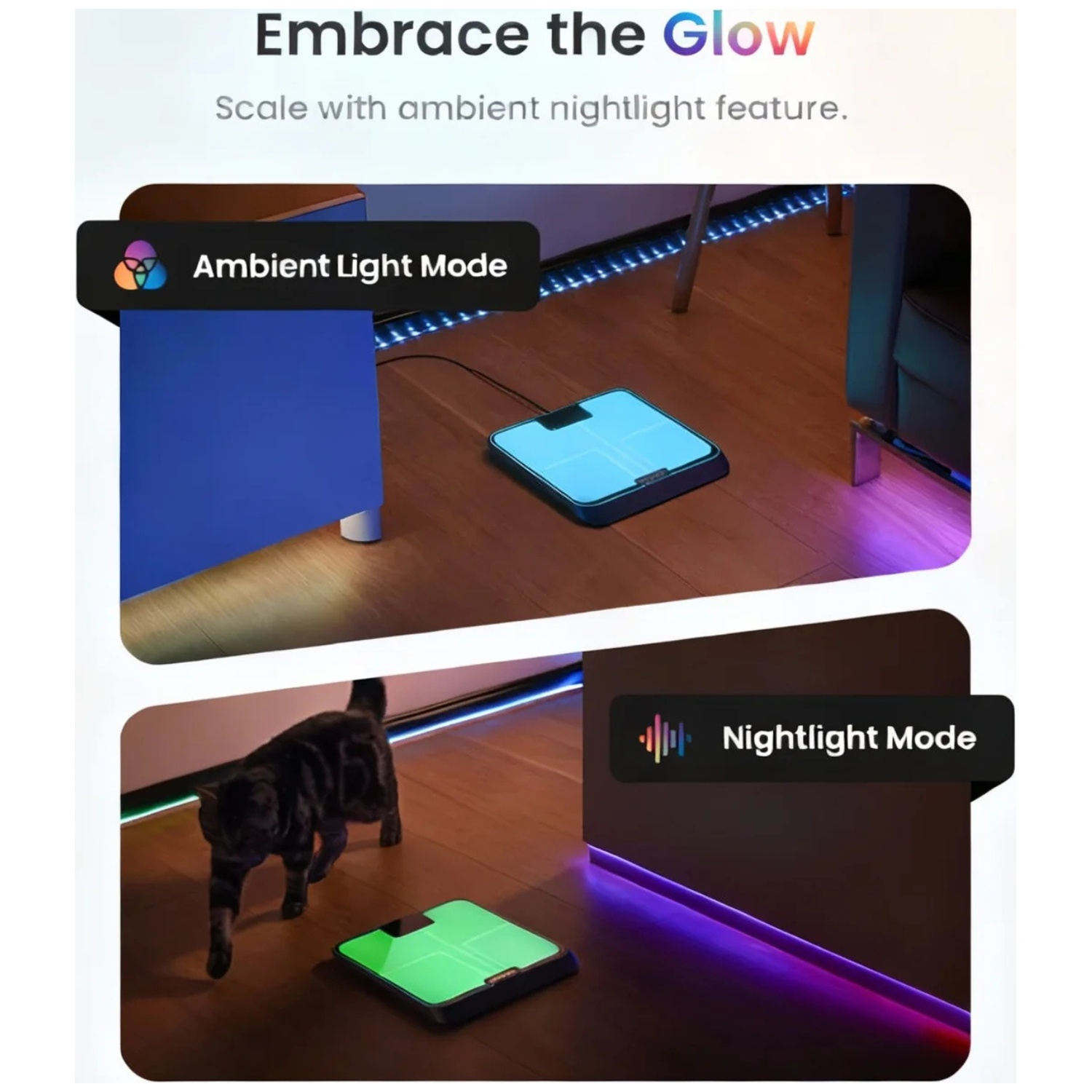 Een digitale weegschaal toont blauw licht in 'Sfeerverlichting Modus'. Een kat loopt langs een groen verlichte weegschaal in 'Nachtlampje Modus'.