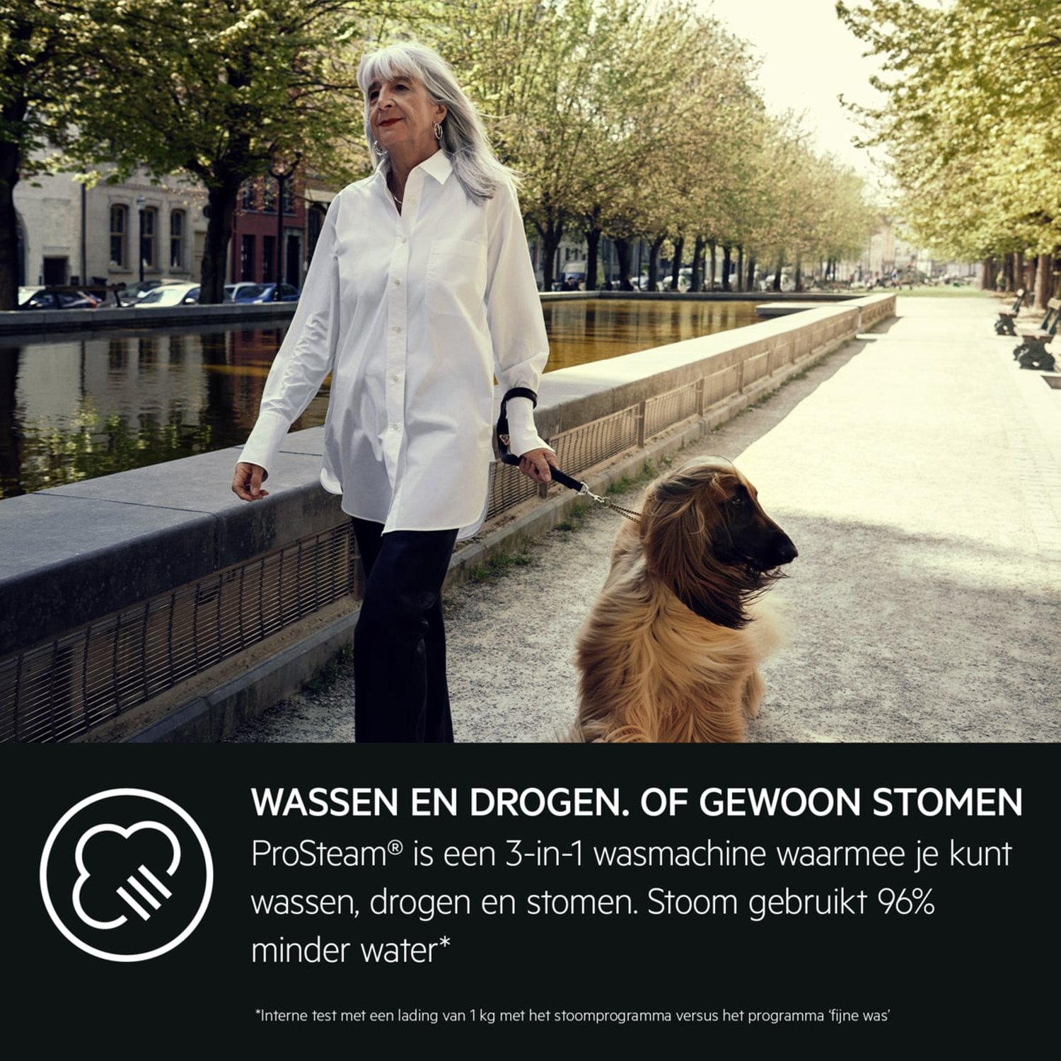 Vrouw met lang grijs haar loopt met Afghaanse windhond aan lijn in stadspark.