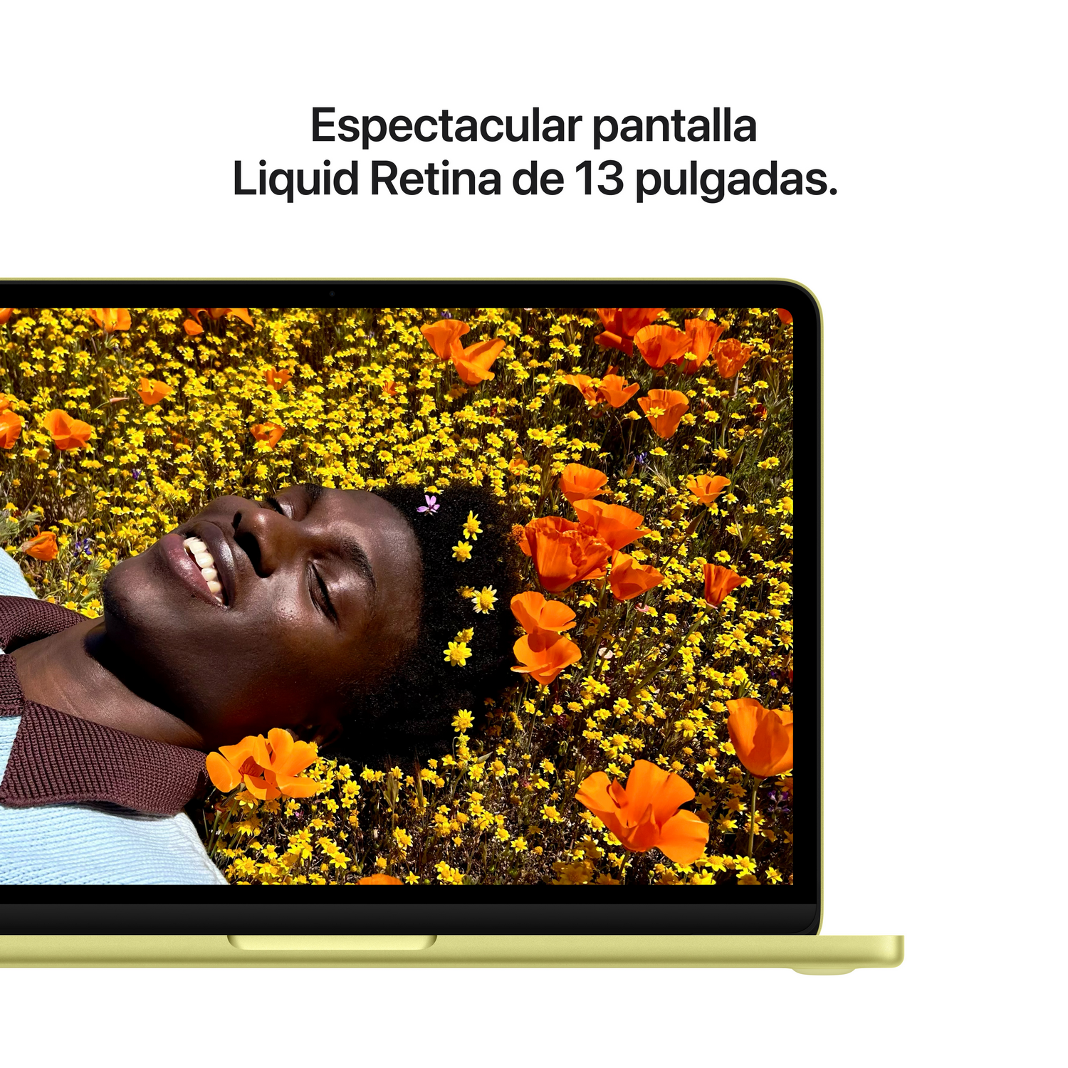 Un hombre yace en un campo de flores amarillas y naranjas.