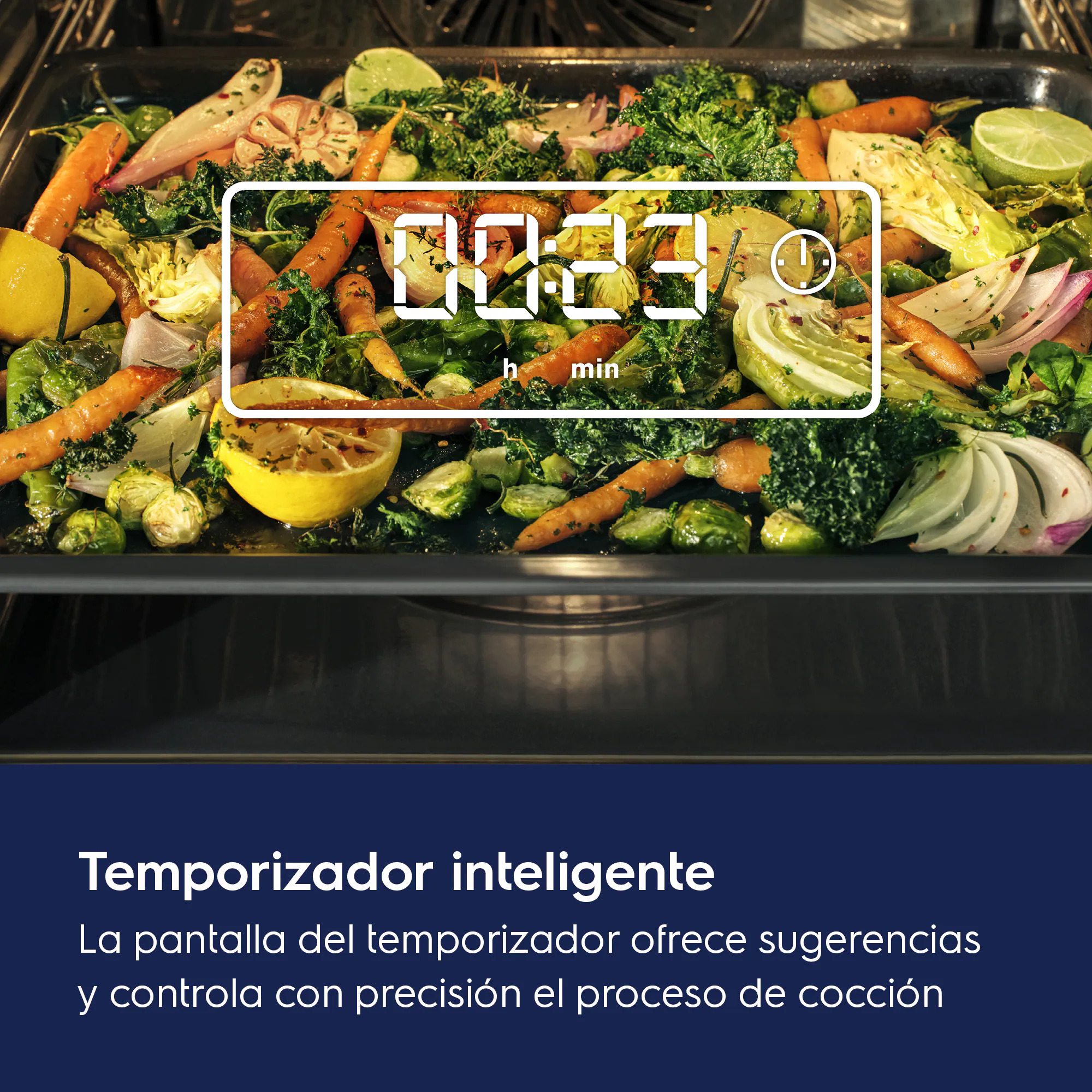Temporizador inteligente
La pantalla del temporizador ofrece sugerencias y controla con precisión el proceso de cocción