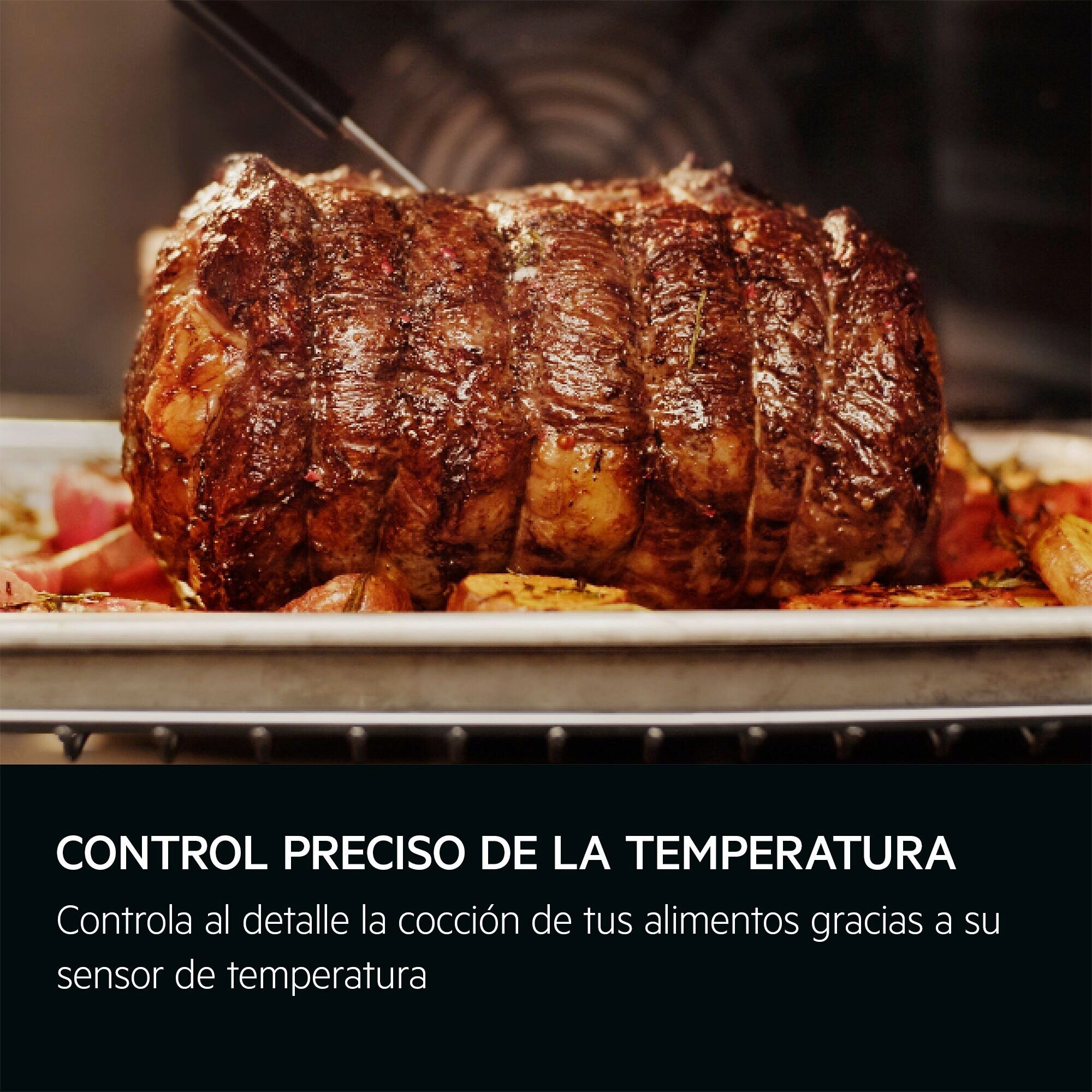 CONTROL PRECISO DE LA TEMPERATURA
Controla al detalle la cocción de tus alimentos gracias a su sensor de temperatura