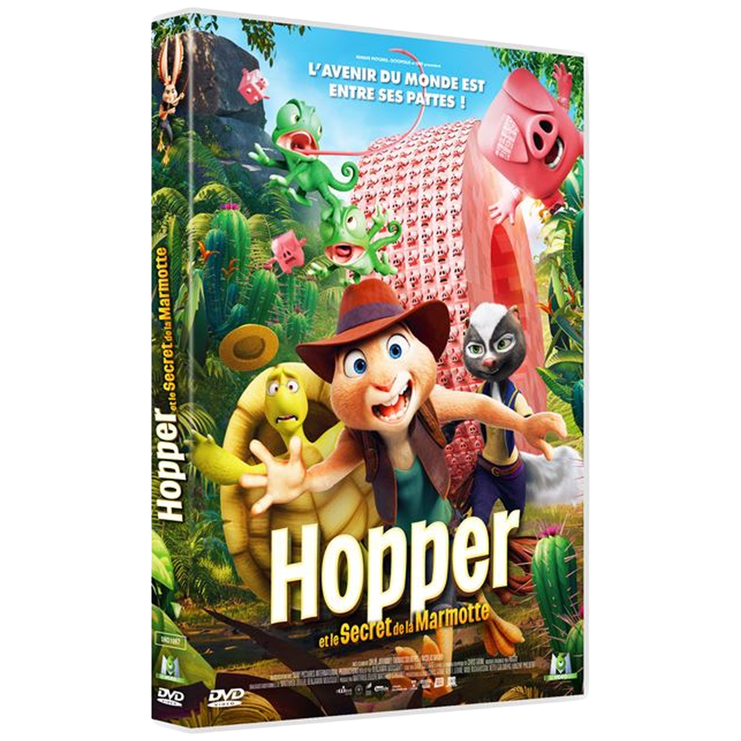 Couverture DVD avec des personnages de dessins animés colorés : un lapin, une tortue et un mouffette.