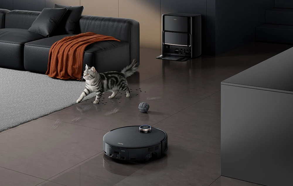 Egy macska sétál a padlón, robotporszívó és labda a közelben.