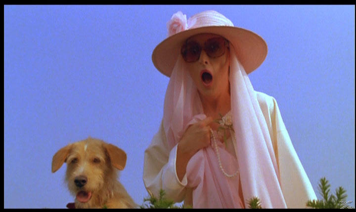 Ein Hund und eine Frau in einem Hut und Schleier vor blauem Himmel.