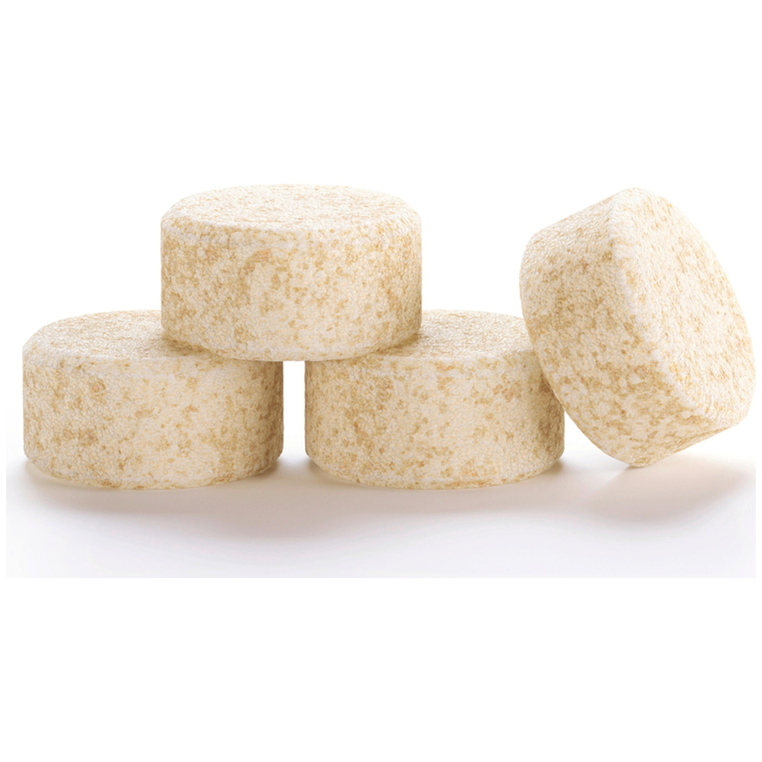 Four round, light-colored cheese pieces are placed closely together.