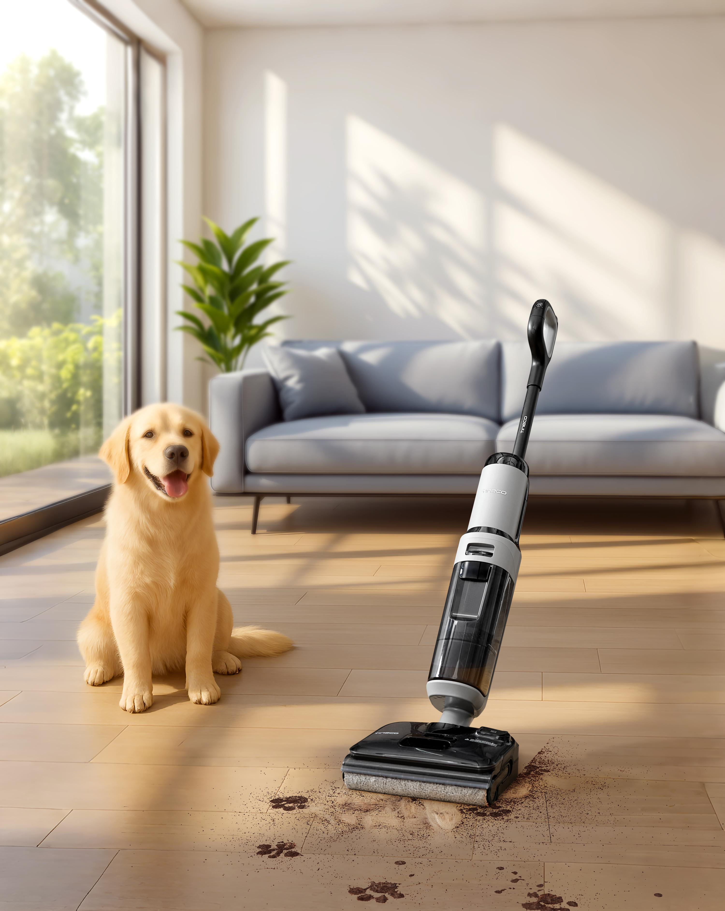 Ein Golden Retriever sitzt neben einem schmutzigen Boden mit Pfotenabdrücken und einem Nass-/Trockensauger.