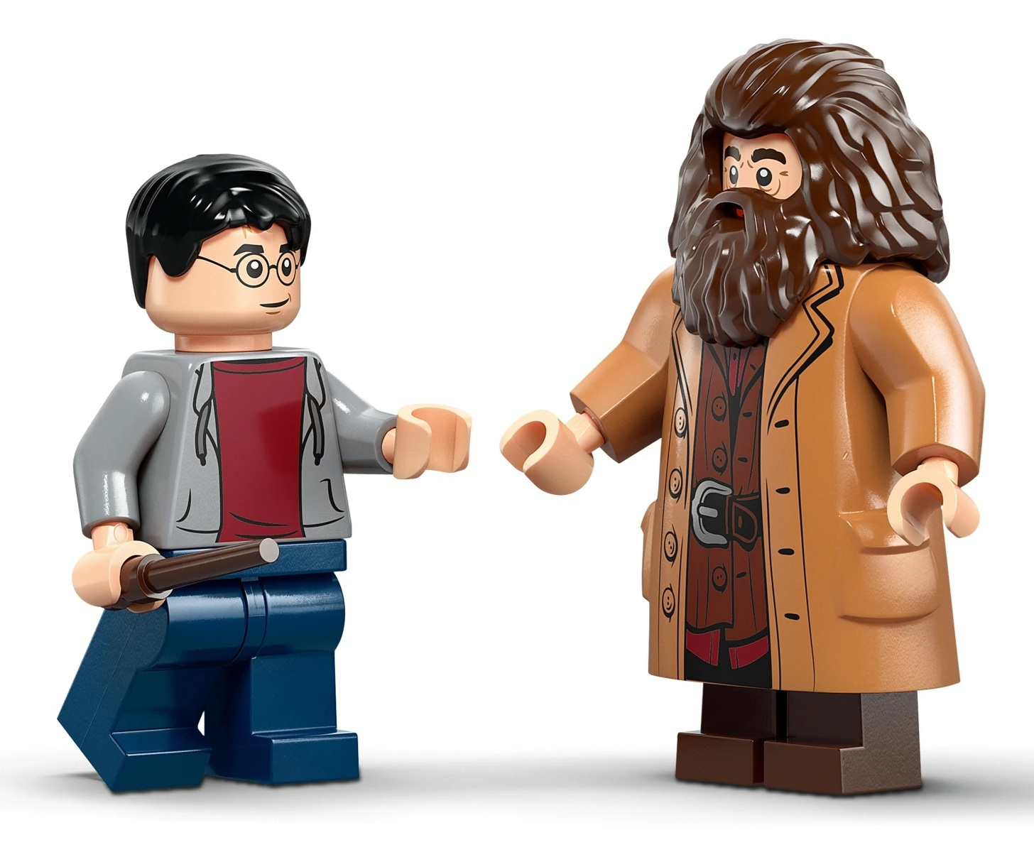 Harry Potter z ródżką i Hagrid w brózowym płaszczu stoją obok siebie.