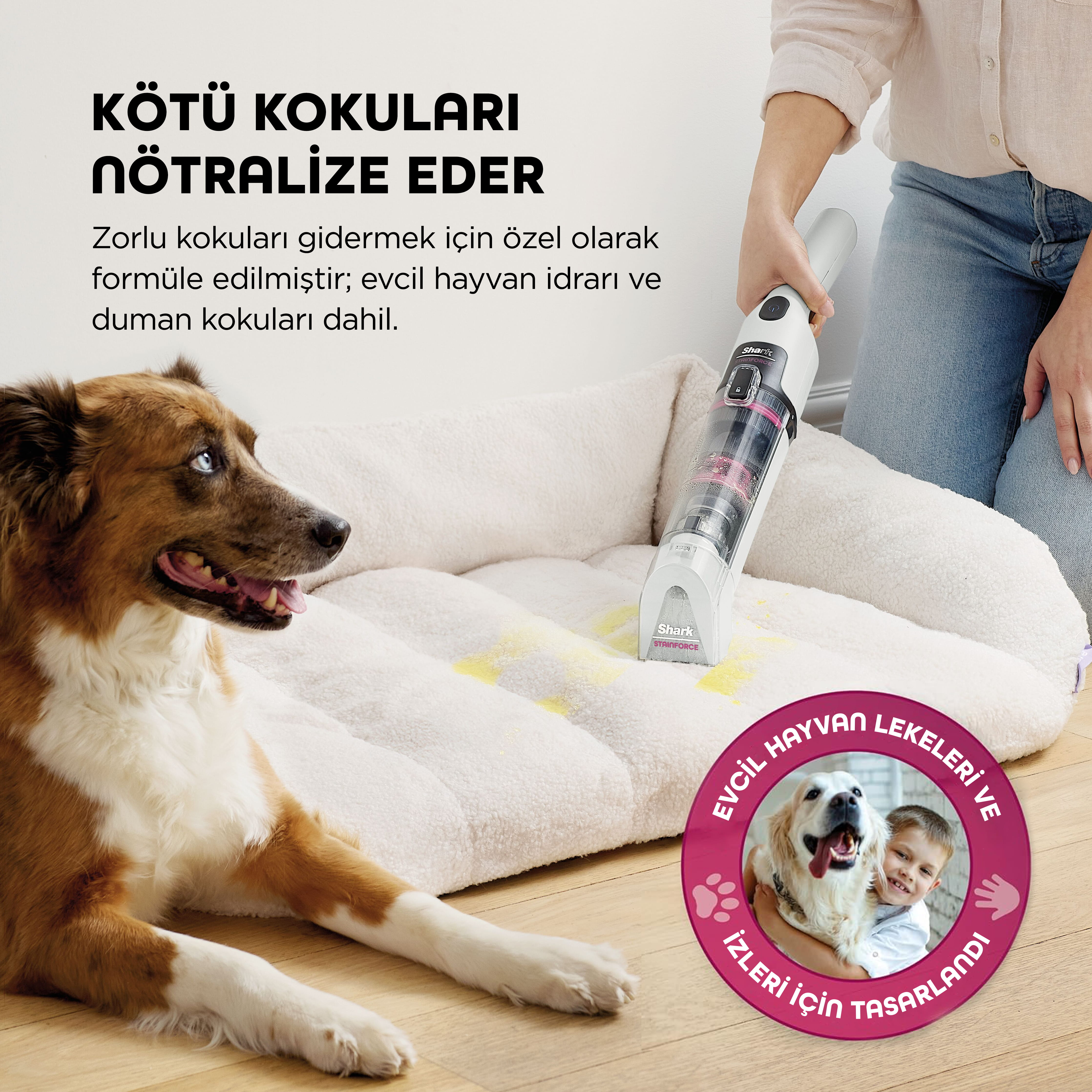 Bir köpek, bir kişi elektrikli süpürge kullanırken beyaz bir yatakta yatıyor.