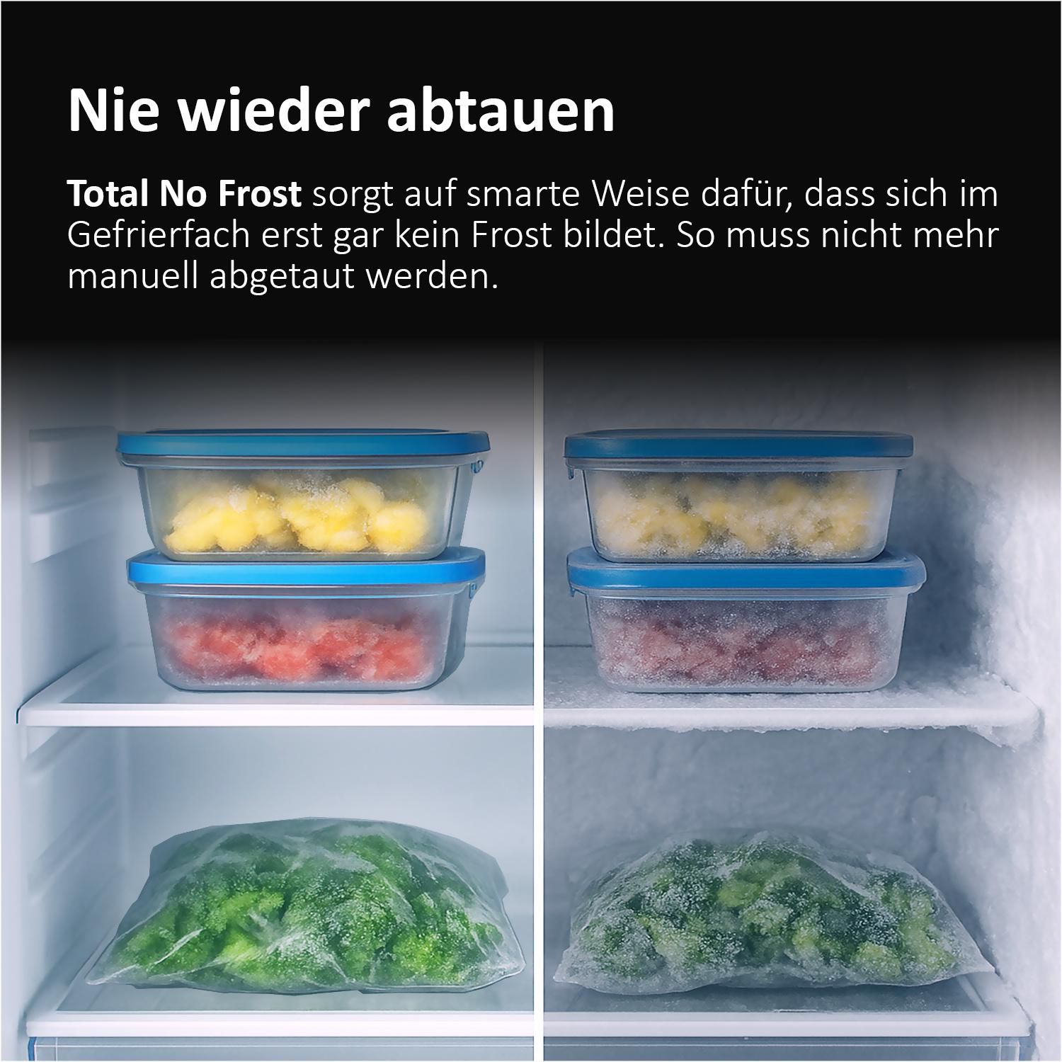 Gefrierschrank: Links ohne Frost, rechts mit Frost. Gefriergut ist sichtbar.