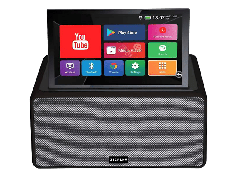 ZICPLAY ZIC-KAR-6565 (+2 Mics) Bluetooth-Karaoke-Lautsprecher, Schwarz