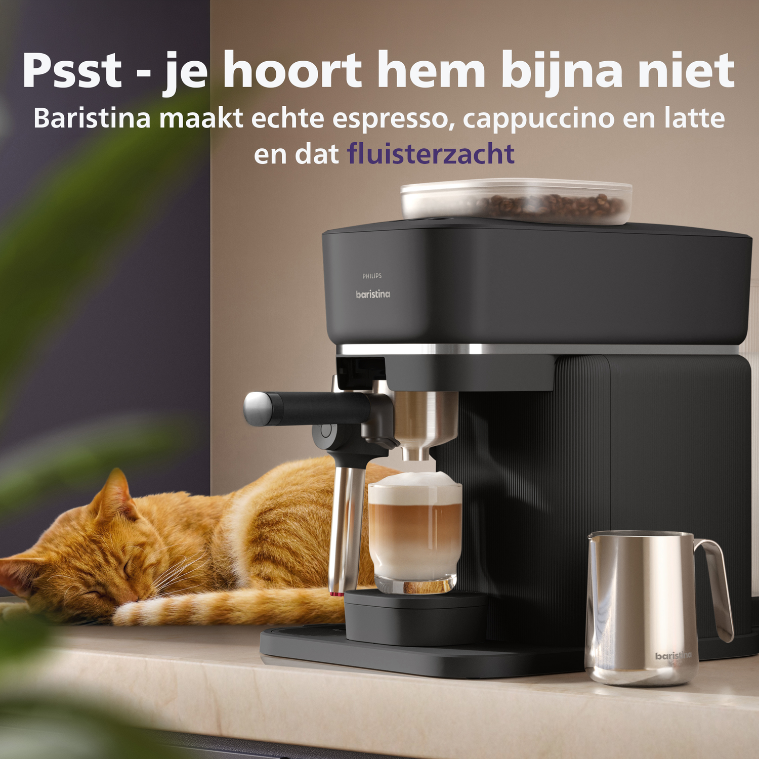 A ginger cat sleeps next to a coffee machine making a latte.