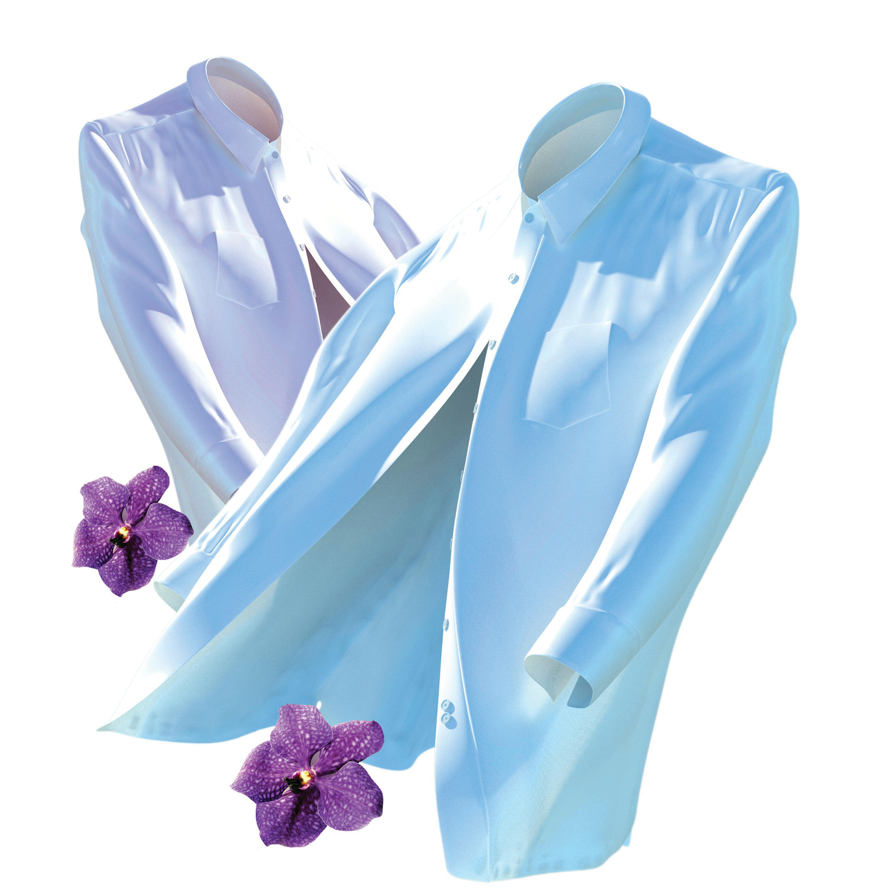 Zwei weiße Hemden und lila Orchideen auf weißem Hintergrund.