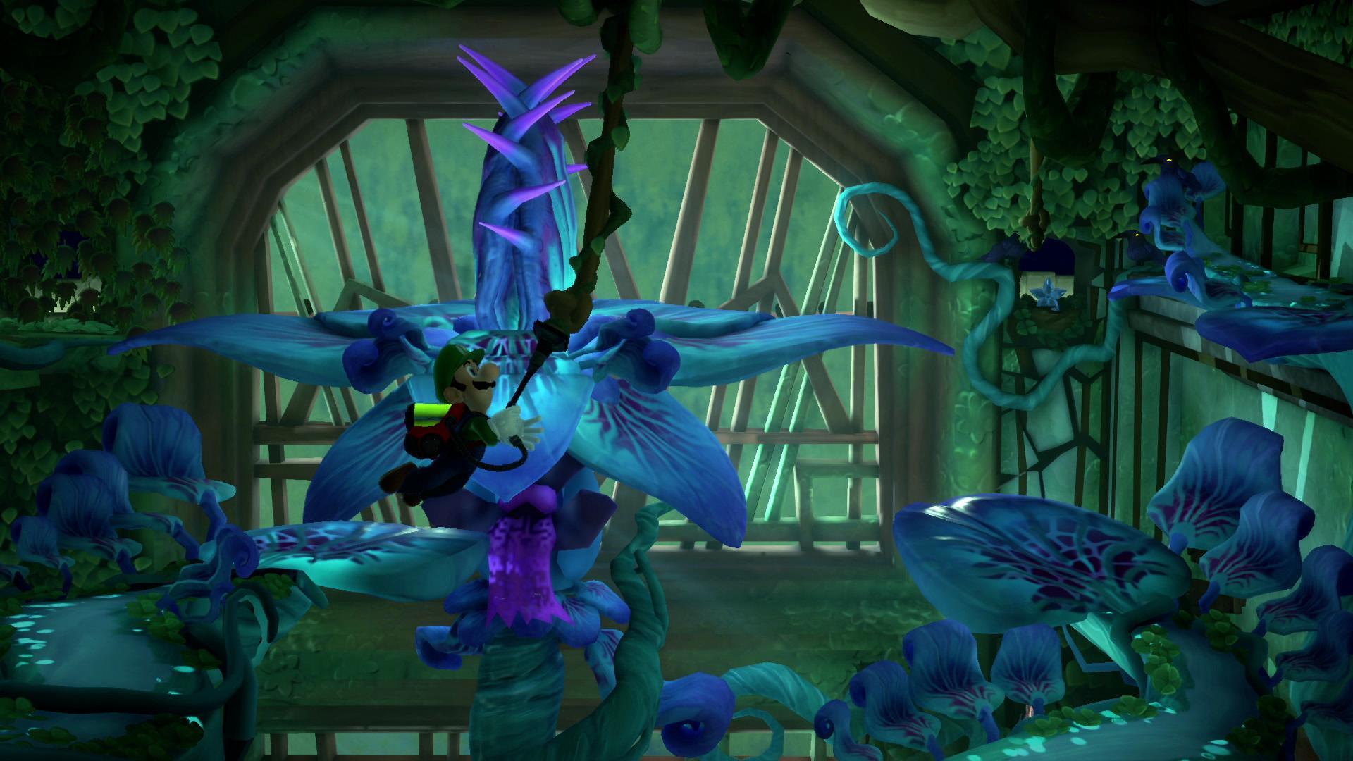 Luigi skacze na gigantyczny niebieski kwiat w bujnej dżungli.