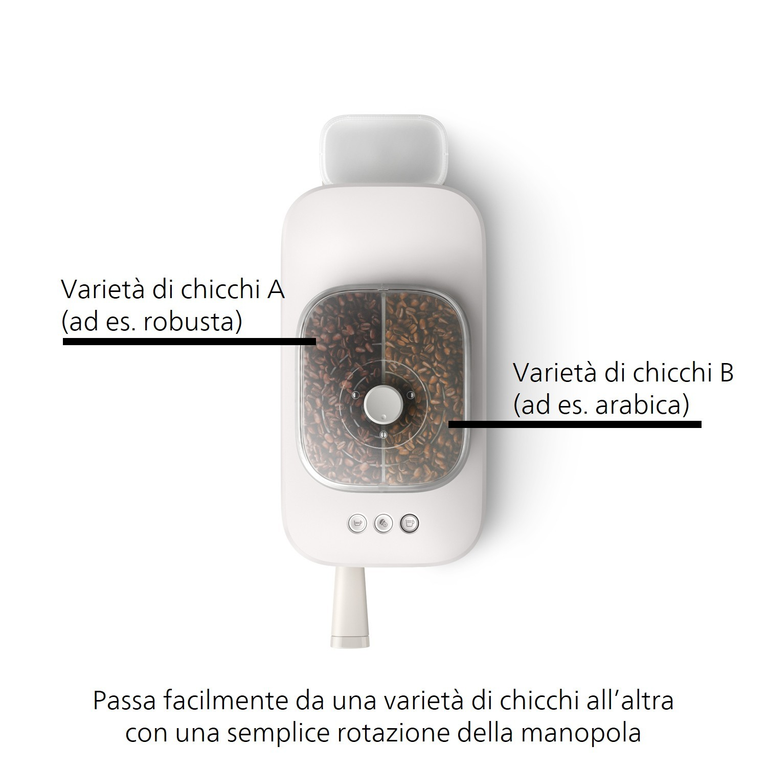 Un contenitore bianco per chicchi di caffè con due scomparti per diverse varietà.