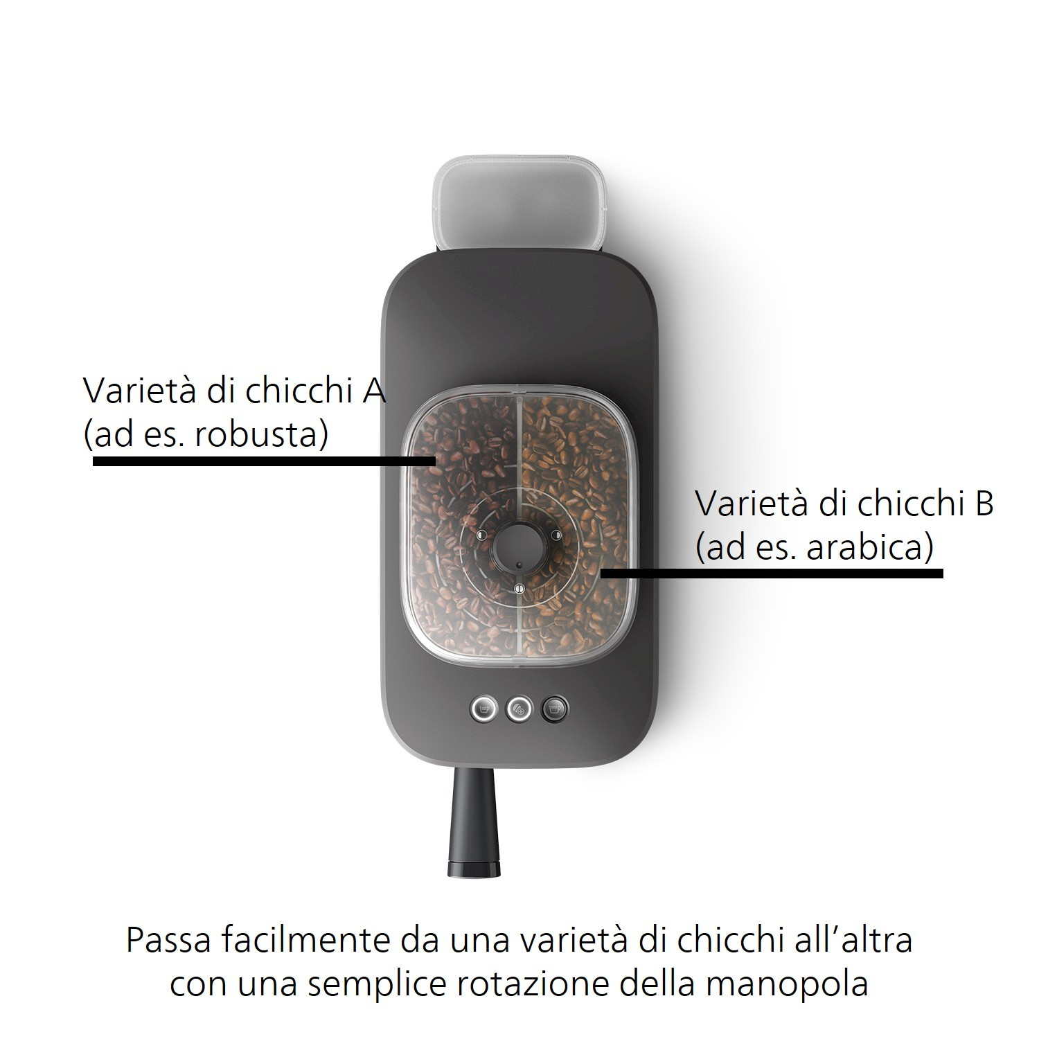Macchina da caffè con due scomparti per diverse varietà di chicchi.