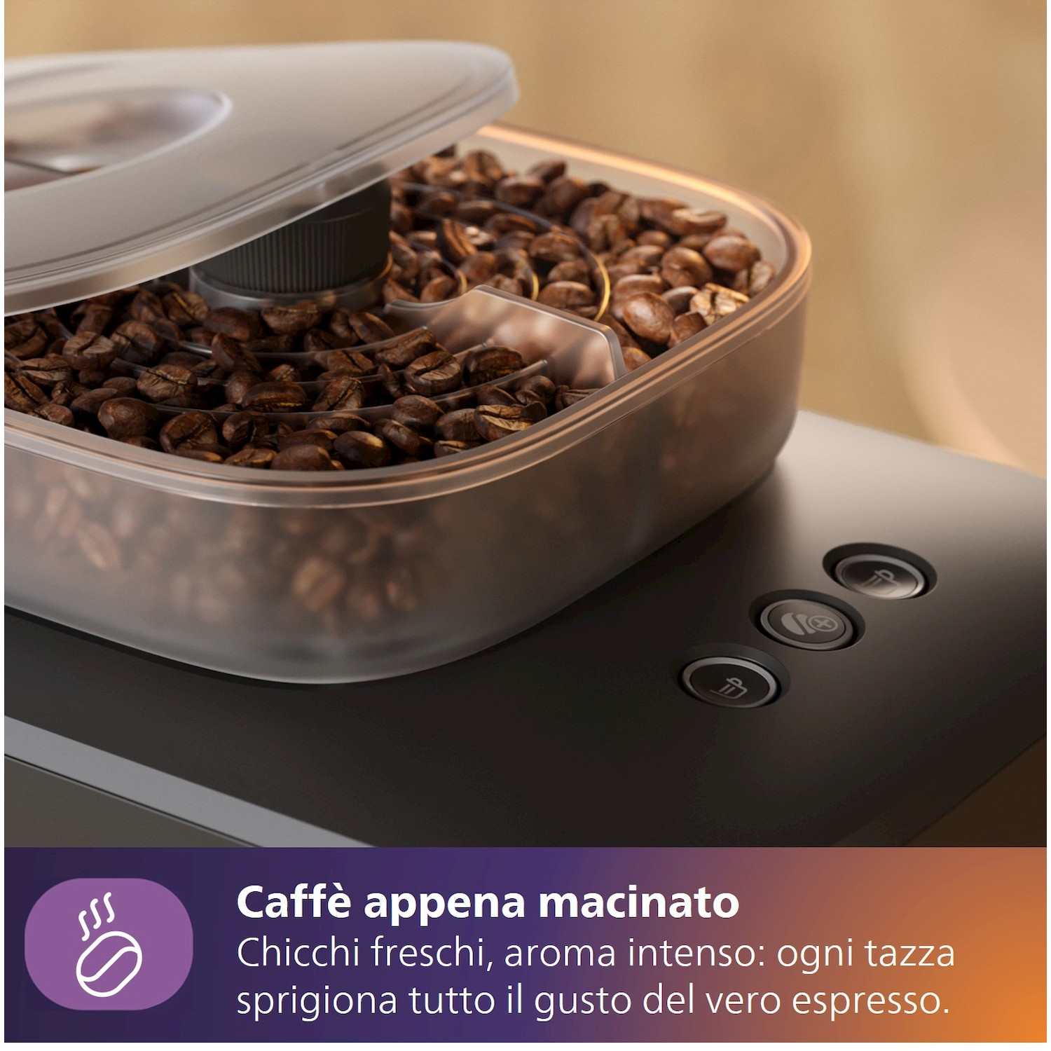 Caffè in chicchi in un contenitore trasparente su una macchina del caffè con pulsanti.