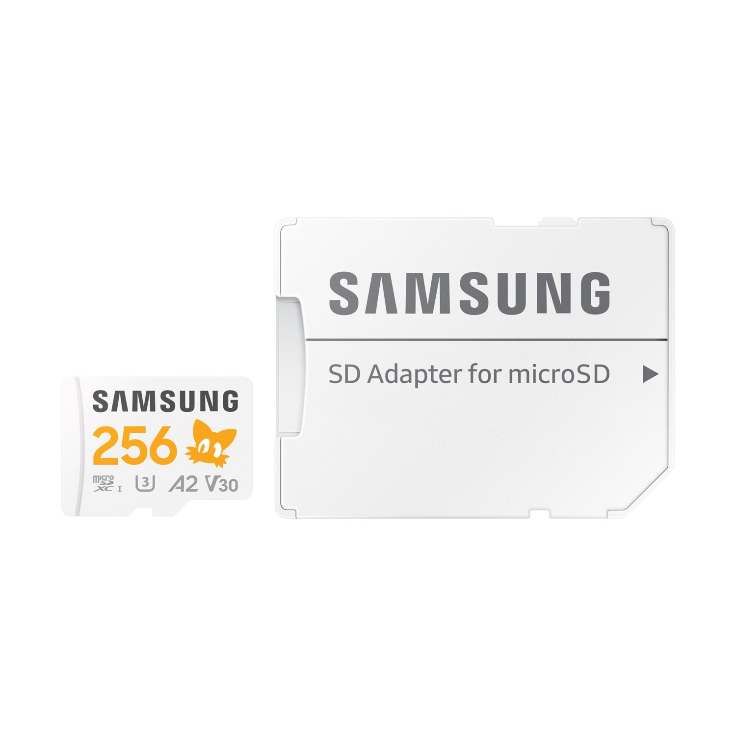 Scheda microSD Samsung da 256 GB con adattatore SD. La scheda ha un gatto.