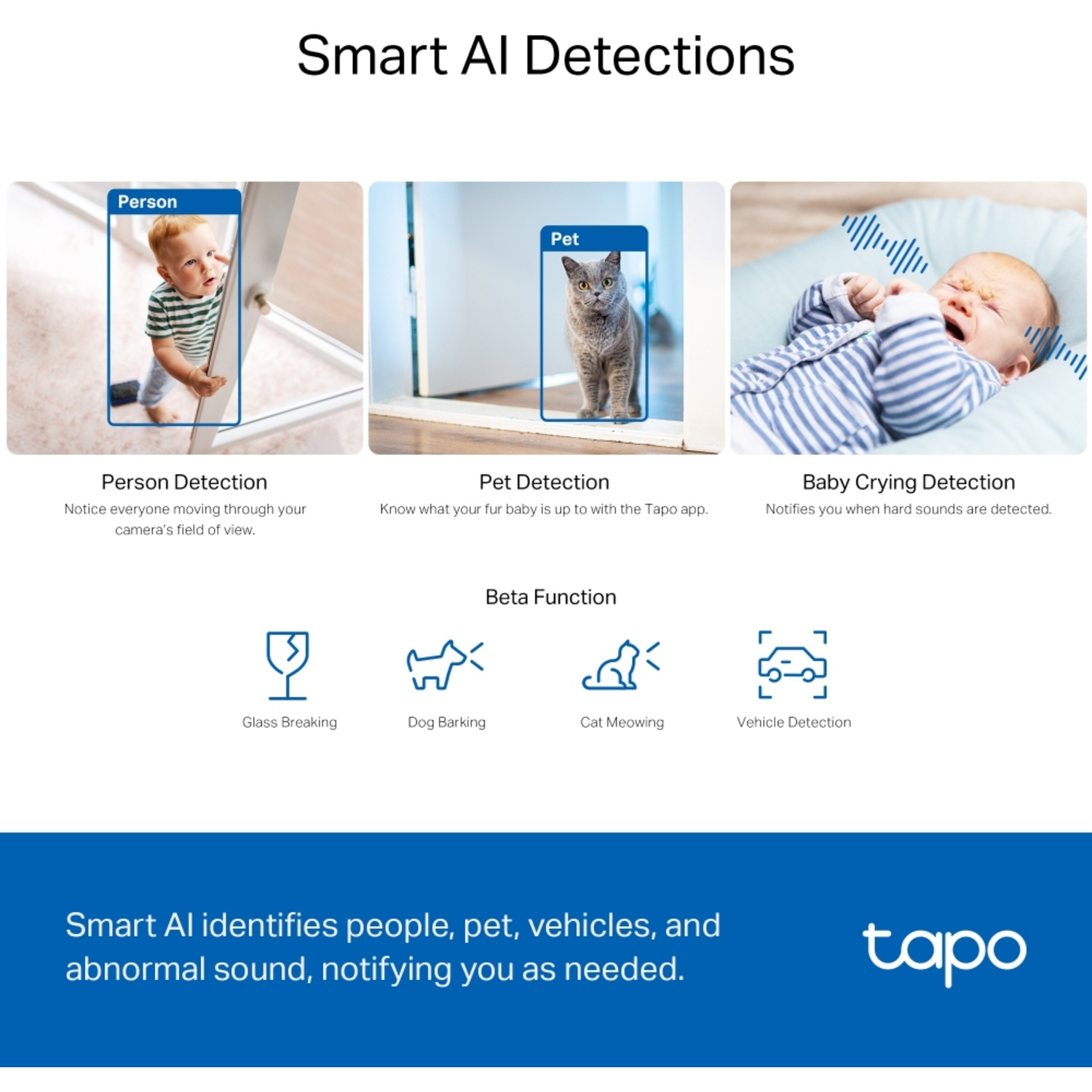 Smart AI detections: person, pet, baby crying, glass breaking, dog barking, cat meowing, vehicle.