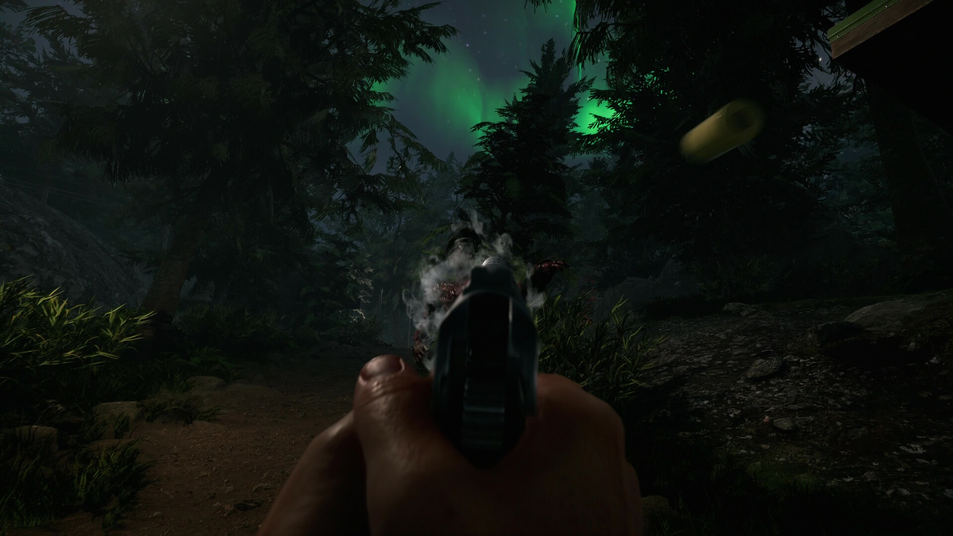 Mano che tiene pistola, spara a zombie nel bosco, aurora boreale.