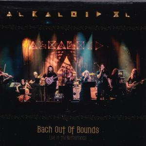 Band spielt live auf einer Bühne unter Lichtern, mit "Alkaloid" Logo.