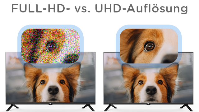 Porównanie: rozdzielczość Full HD vs UHD. Lewo ziarniste, prawo wyraźne. Obraz psa na TV.