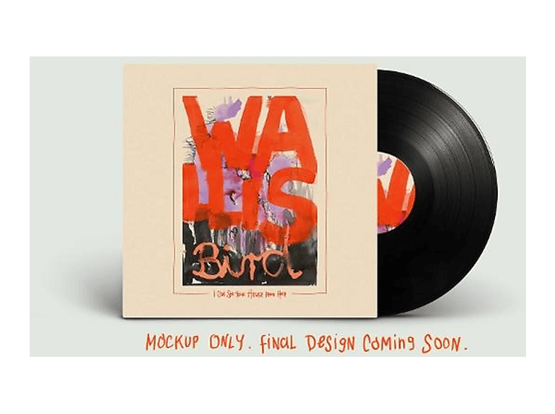 Wallis Bird - I Can See Your House From Here (Vinyl) - (Vinyl)