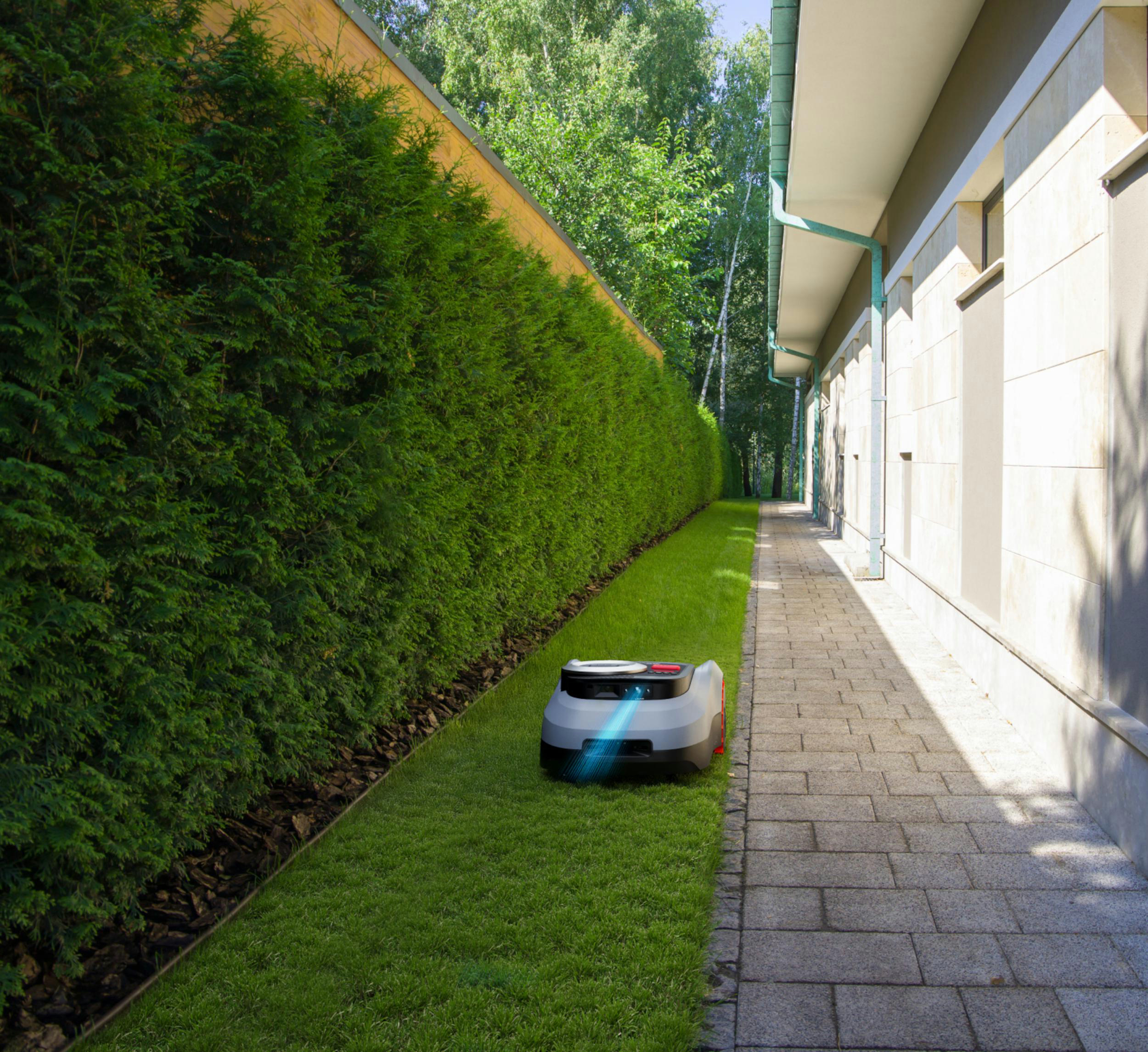 Ein Mähroboter mäht den Rasen neben einer Hecke und einem Gebäude.