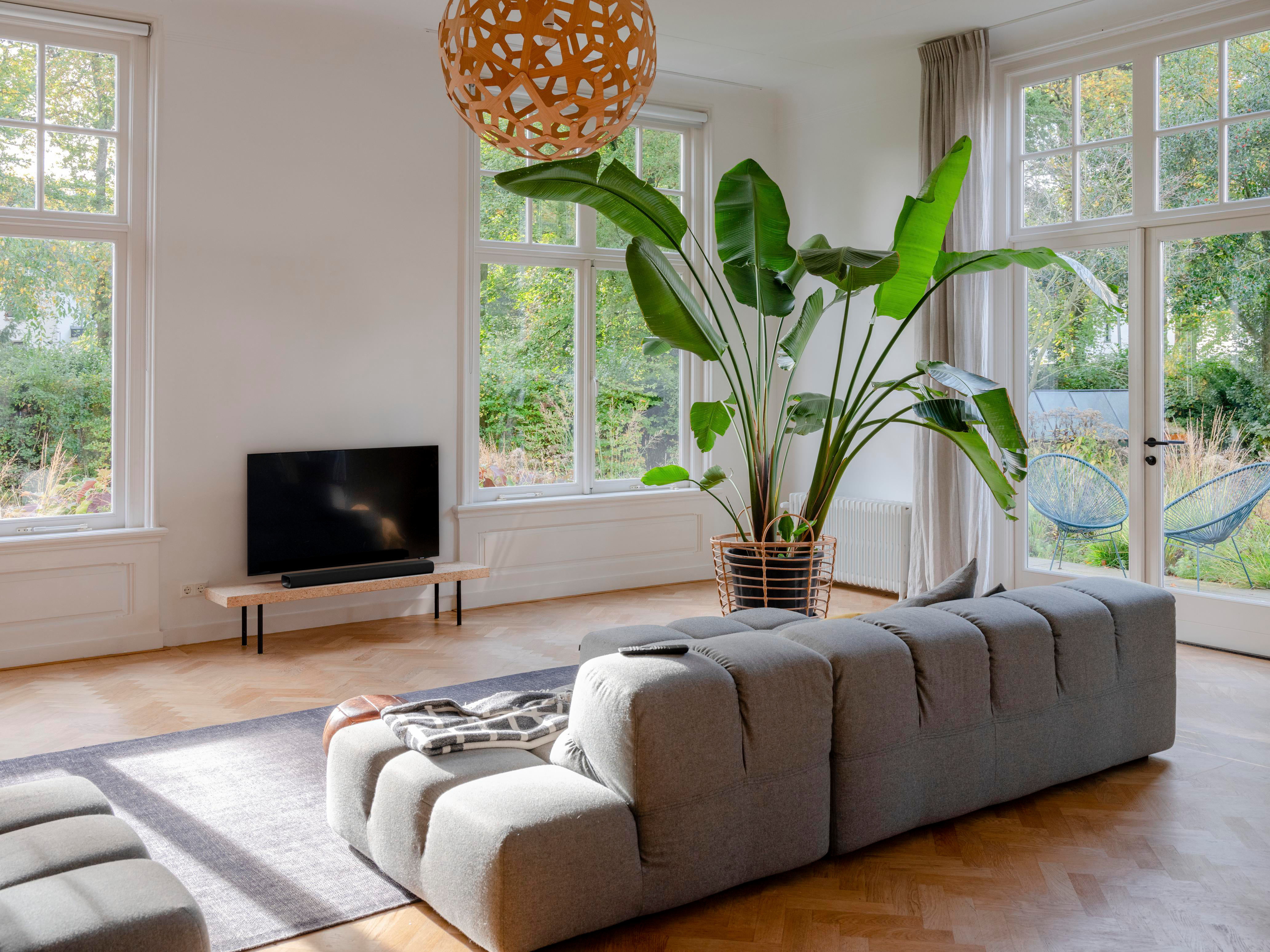 Ein Wohnzimmer mit Sofa, Fernseher, großer Pflanze und Fenstern.
