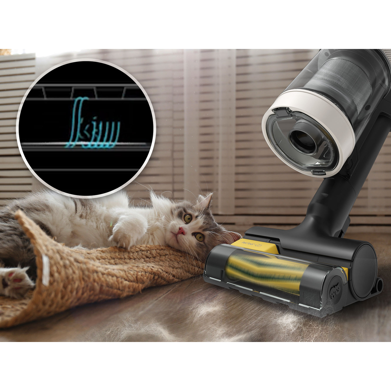 A vacuum cleaner cleans pet hair next to a cat.